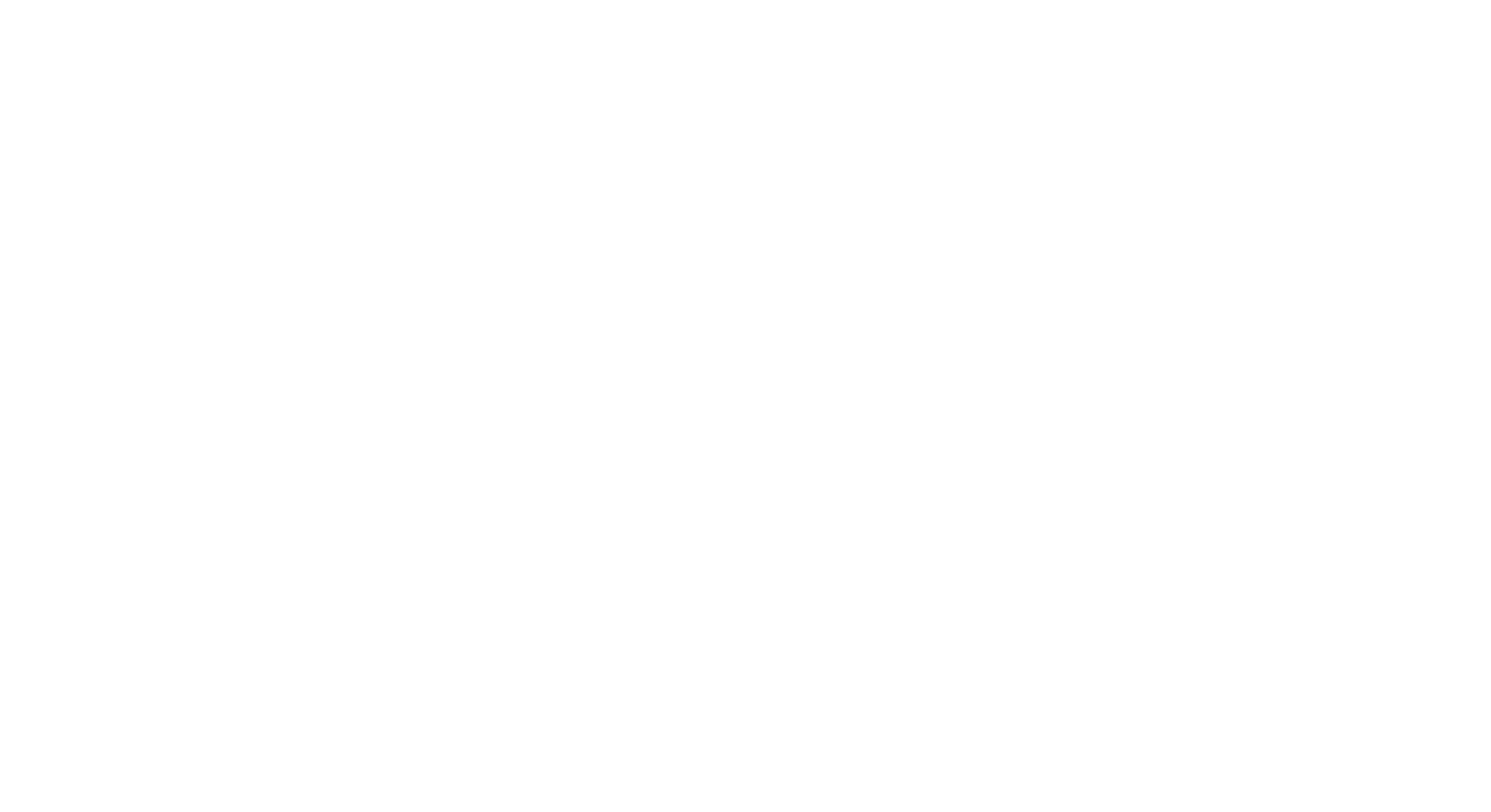 인턴