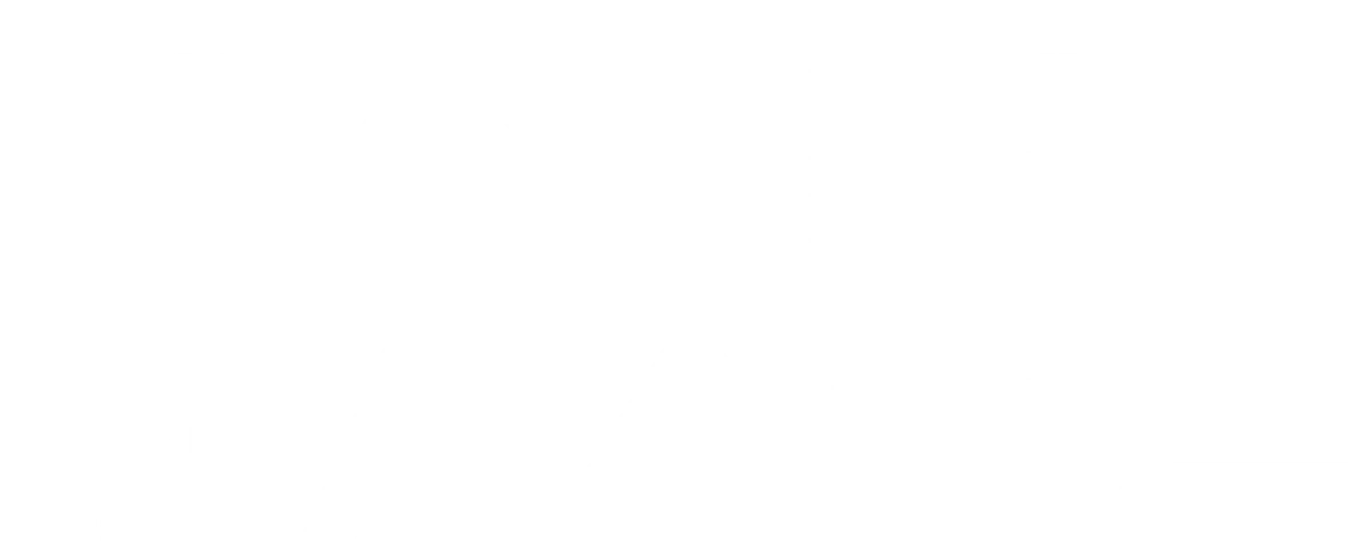 모추어리 어시스턴트