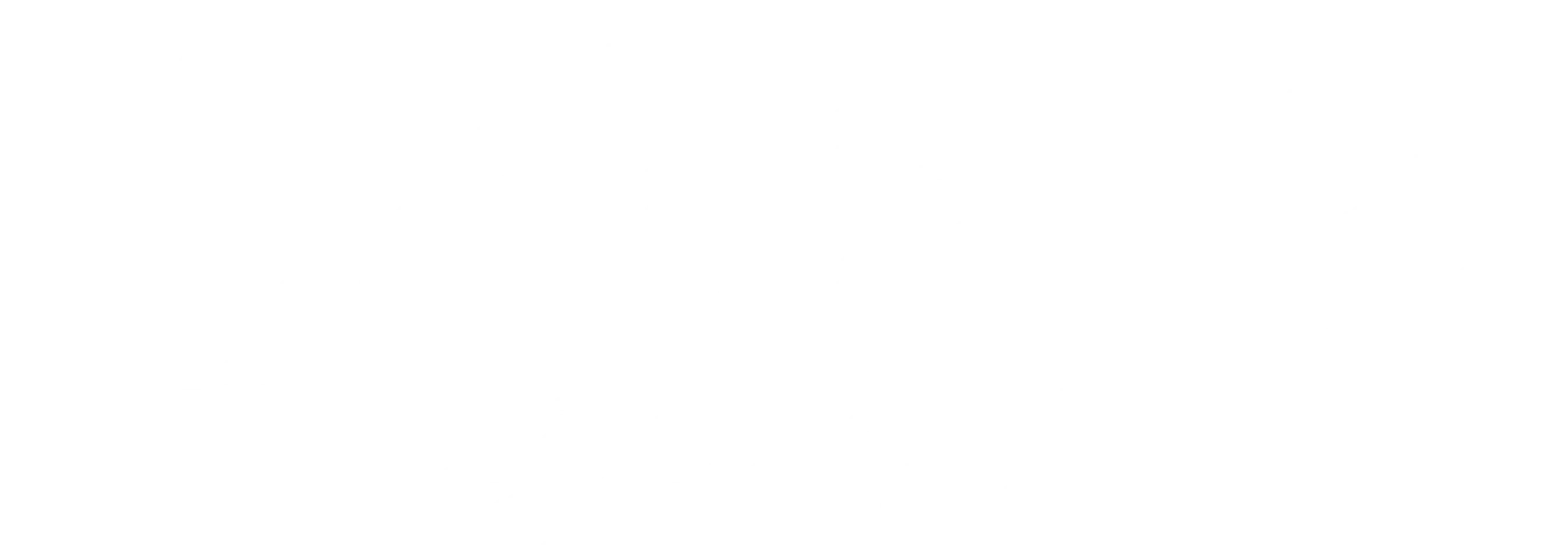 십삼태보: 풍운재기