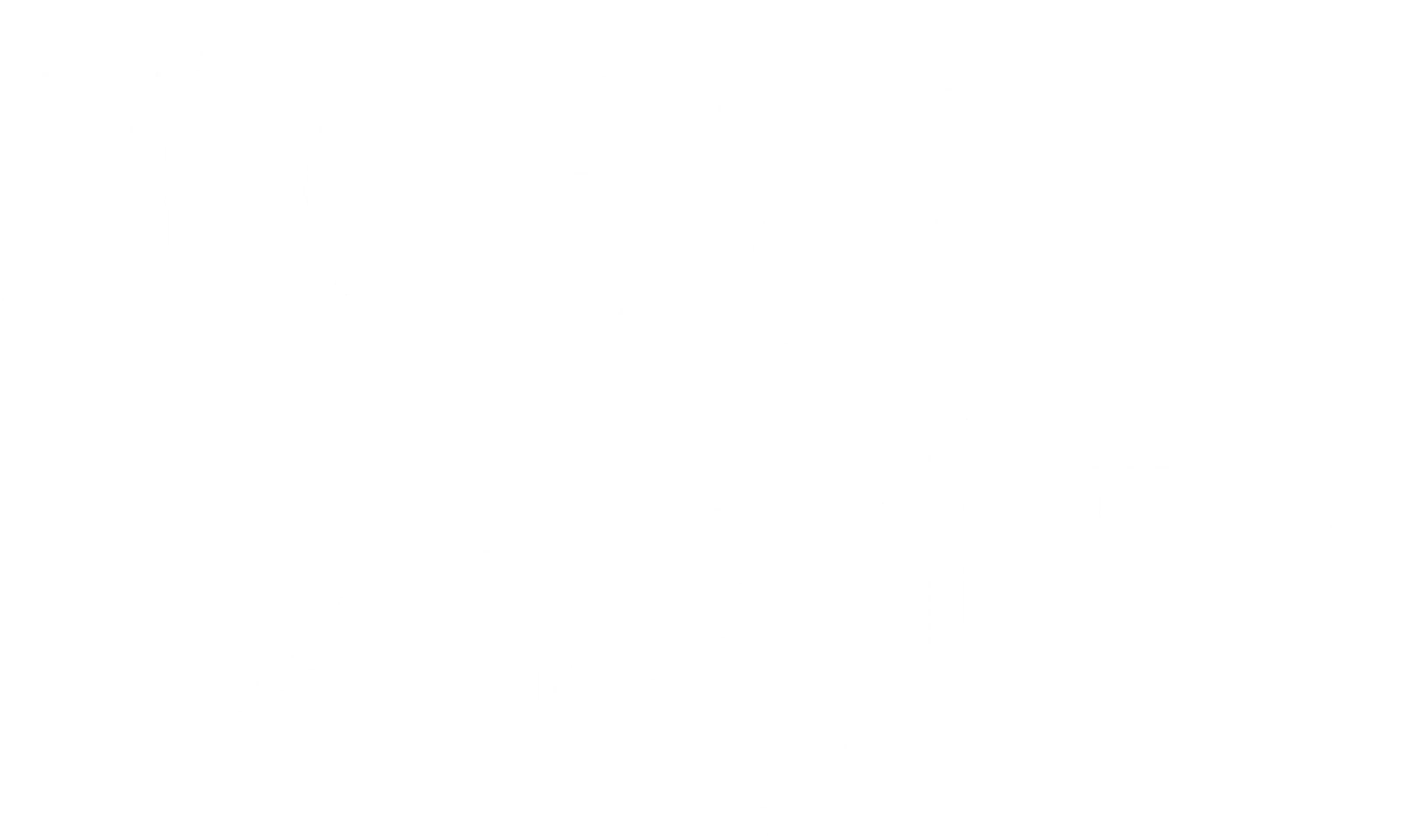 100일의 거짓말
