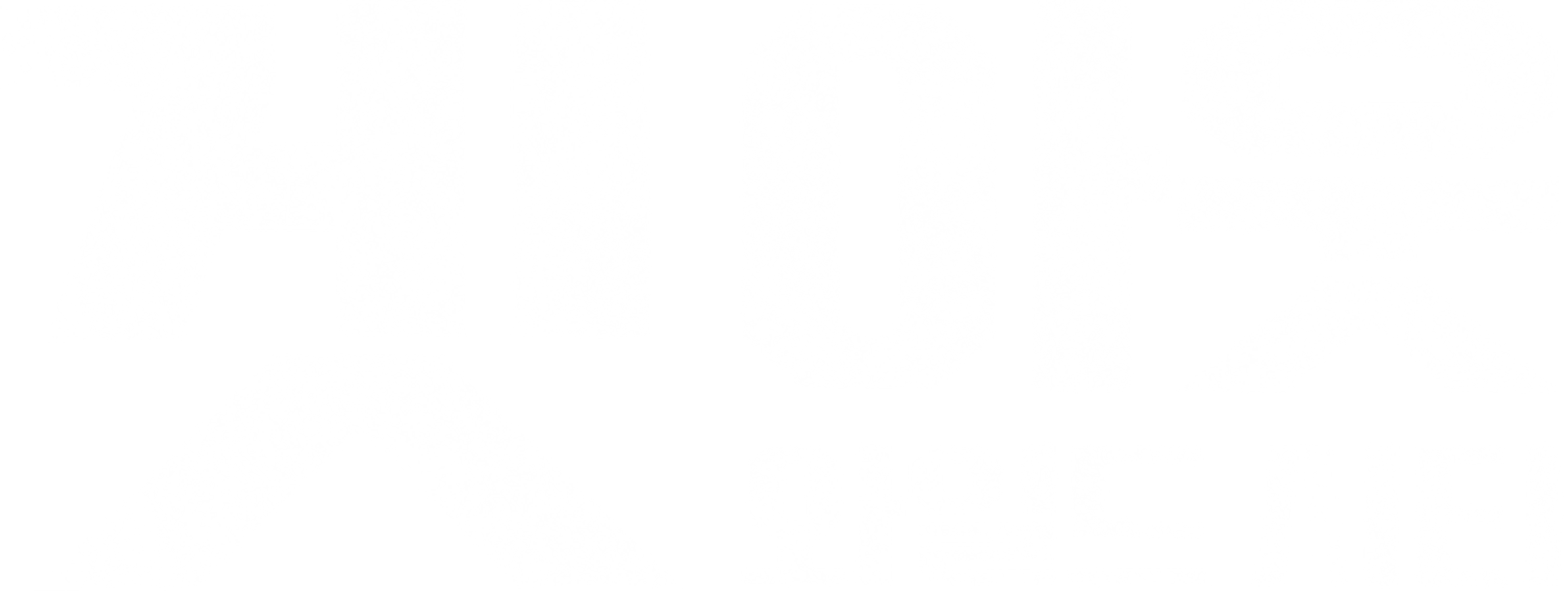 겟 아웃: 와일드 시티