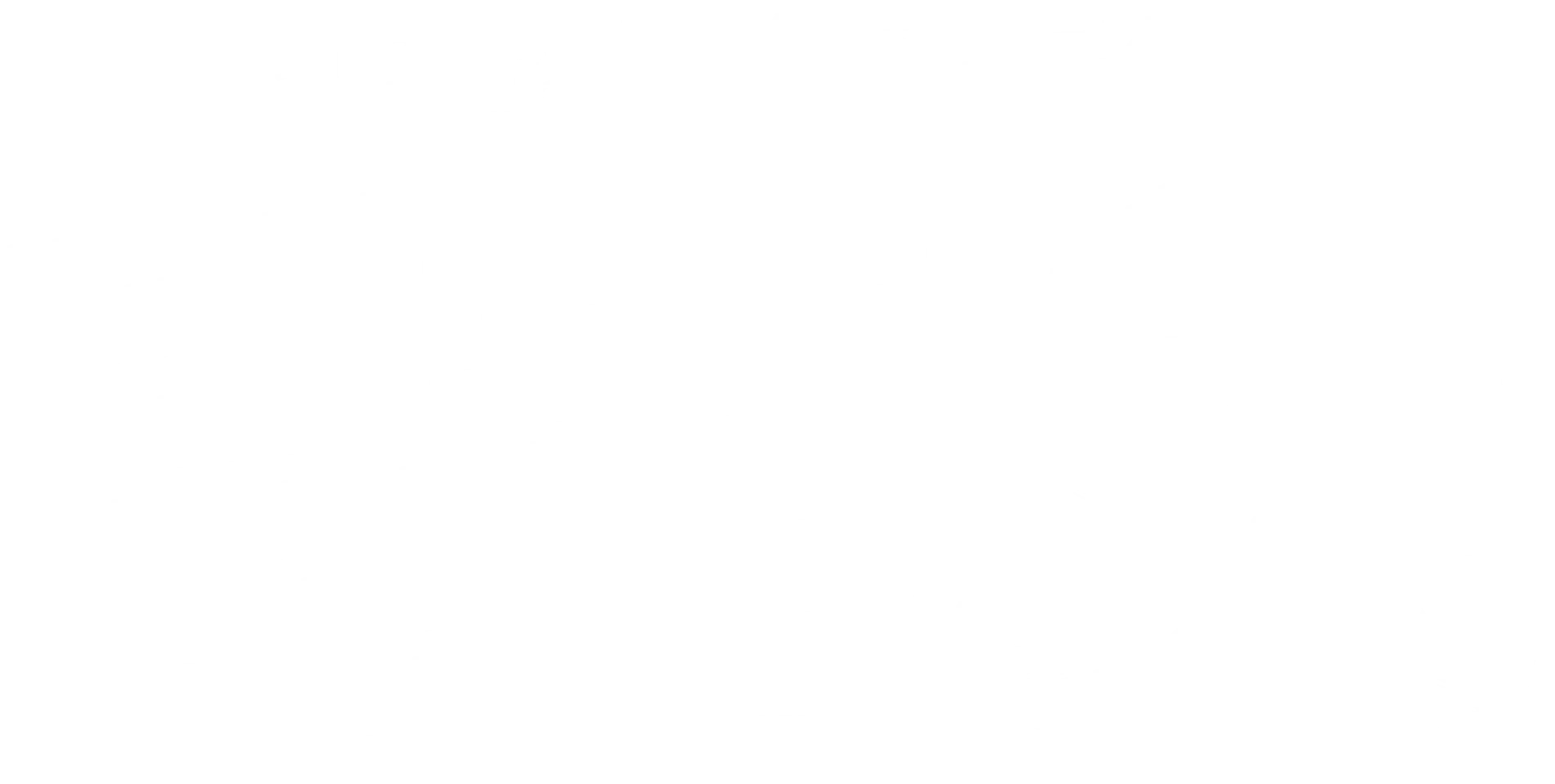 MBC 김구 탄생 150주년 기념 특집 프로그램 《발품史》