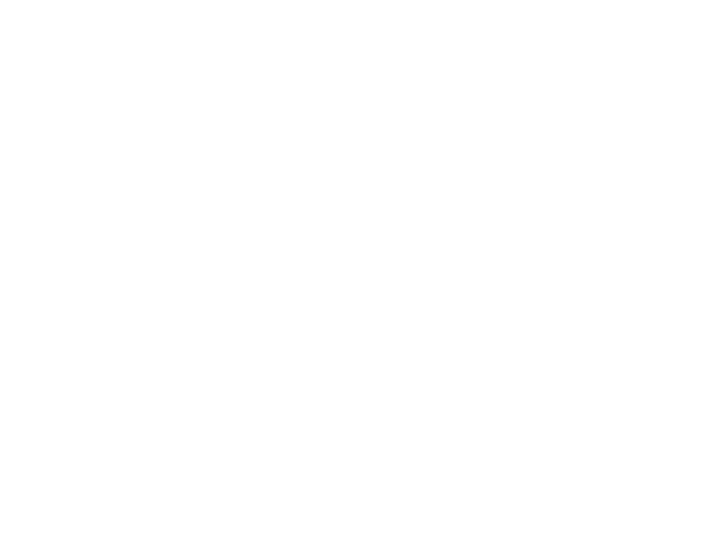 위시캣 매직카드