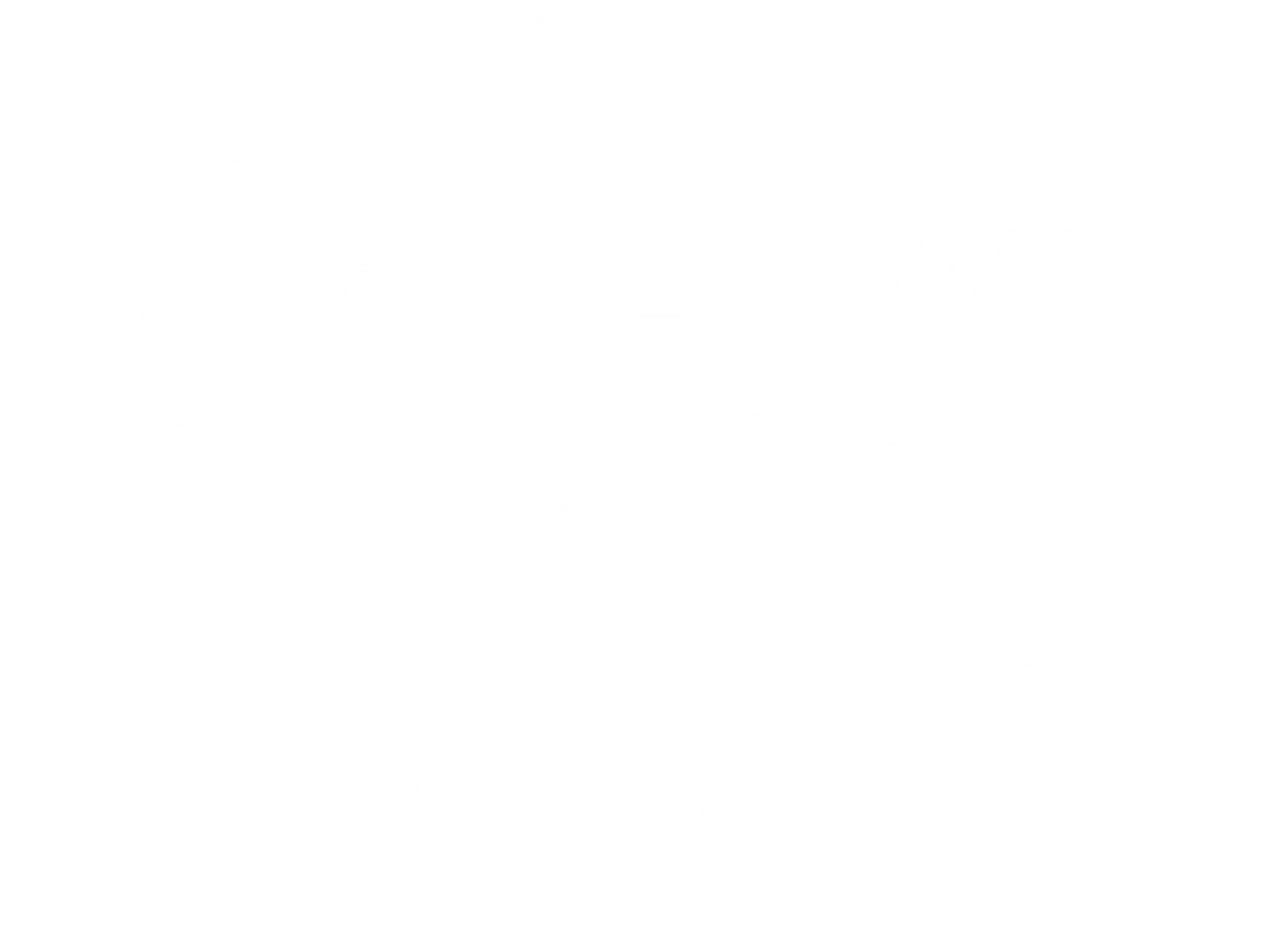 빛의 혁명, 민주주의를 지키다: 리덕스