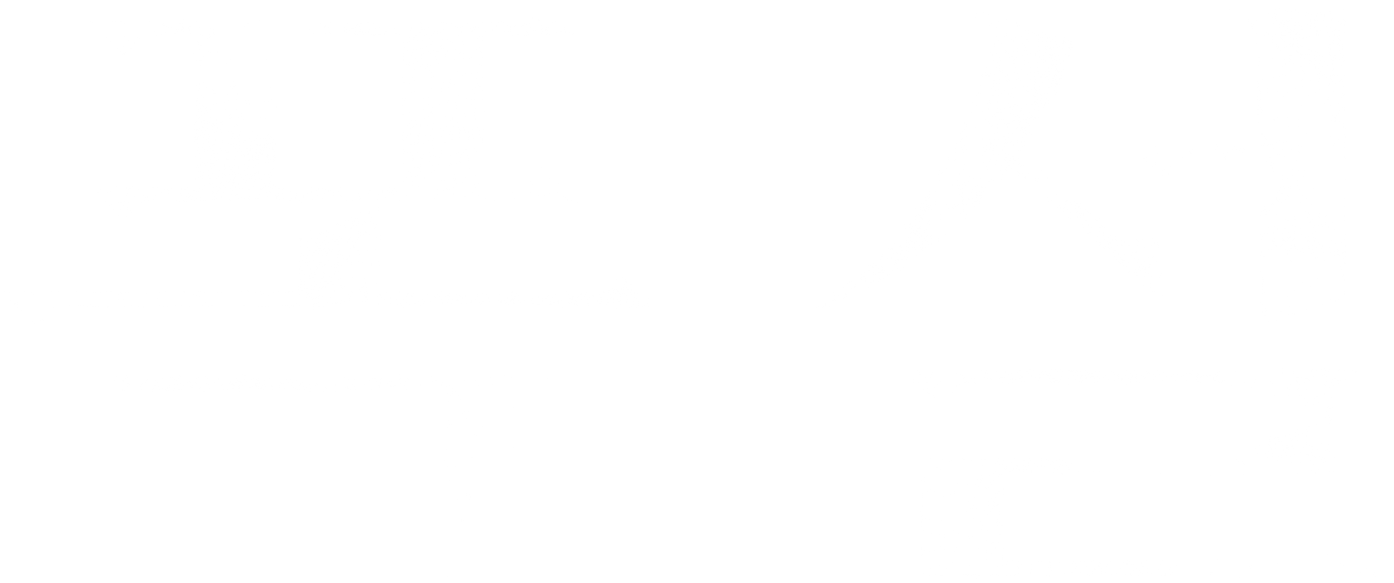 폭설