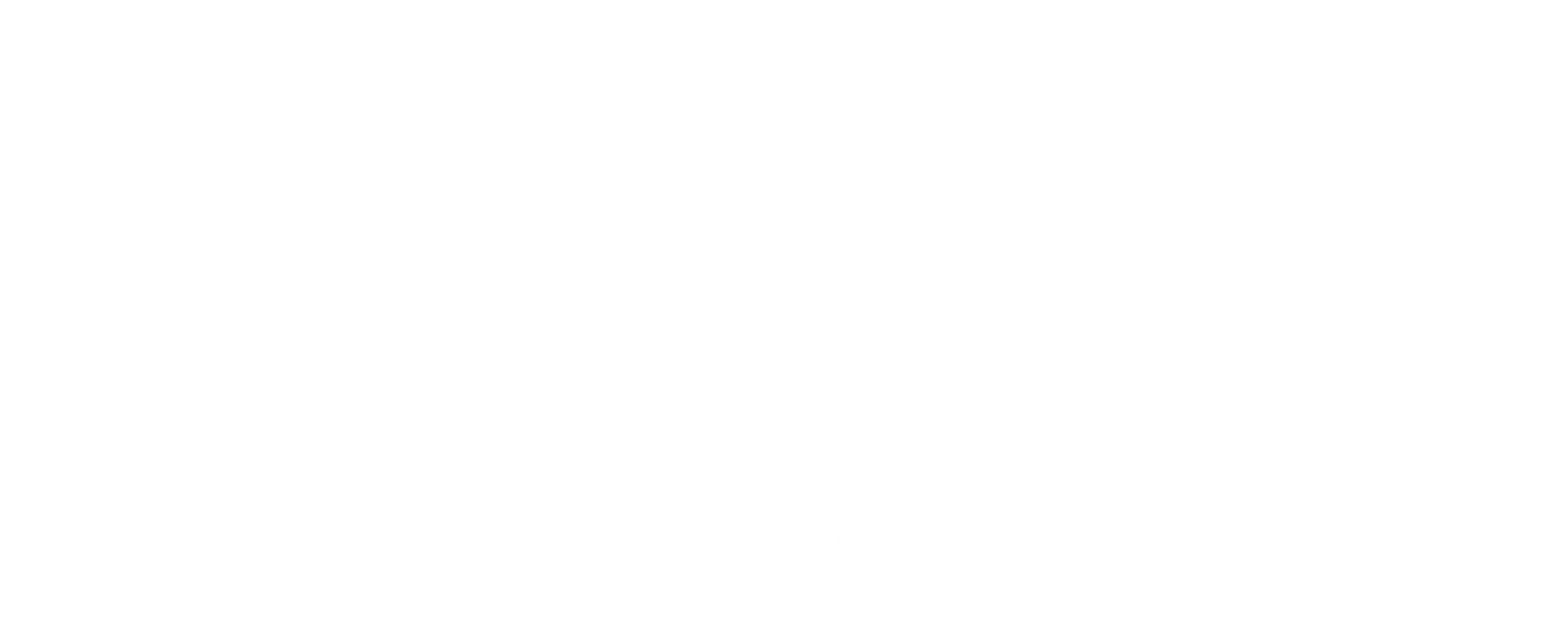 더 커뮤니티 2: 보이지 않는 손