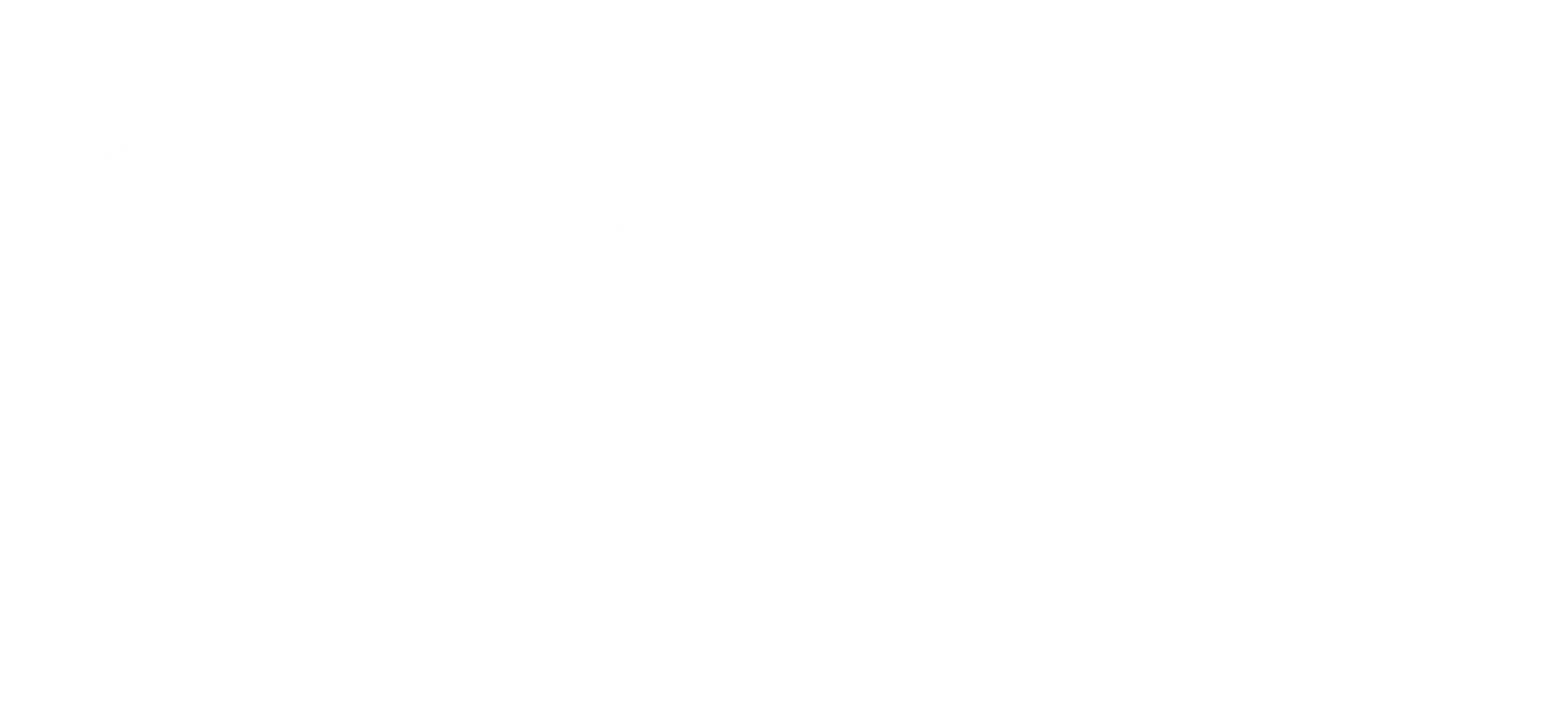포인트