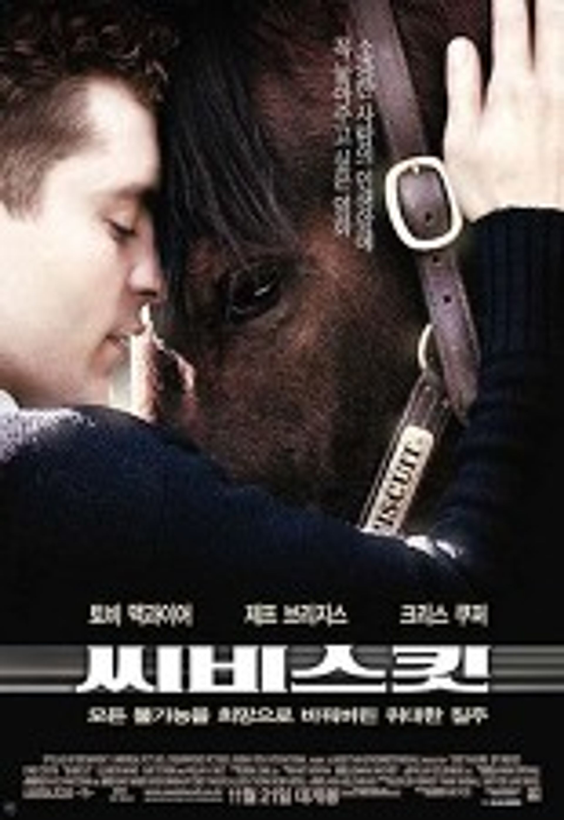 씨비스킷