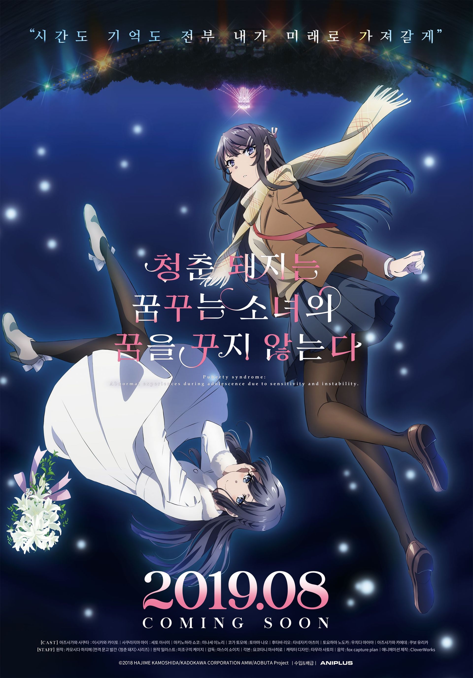 청춘 돼지는 꿈꾸는 소녀의 꿈을 꾸지 않는다