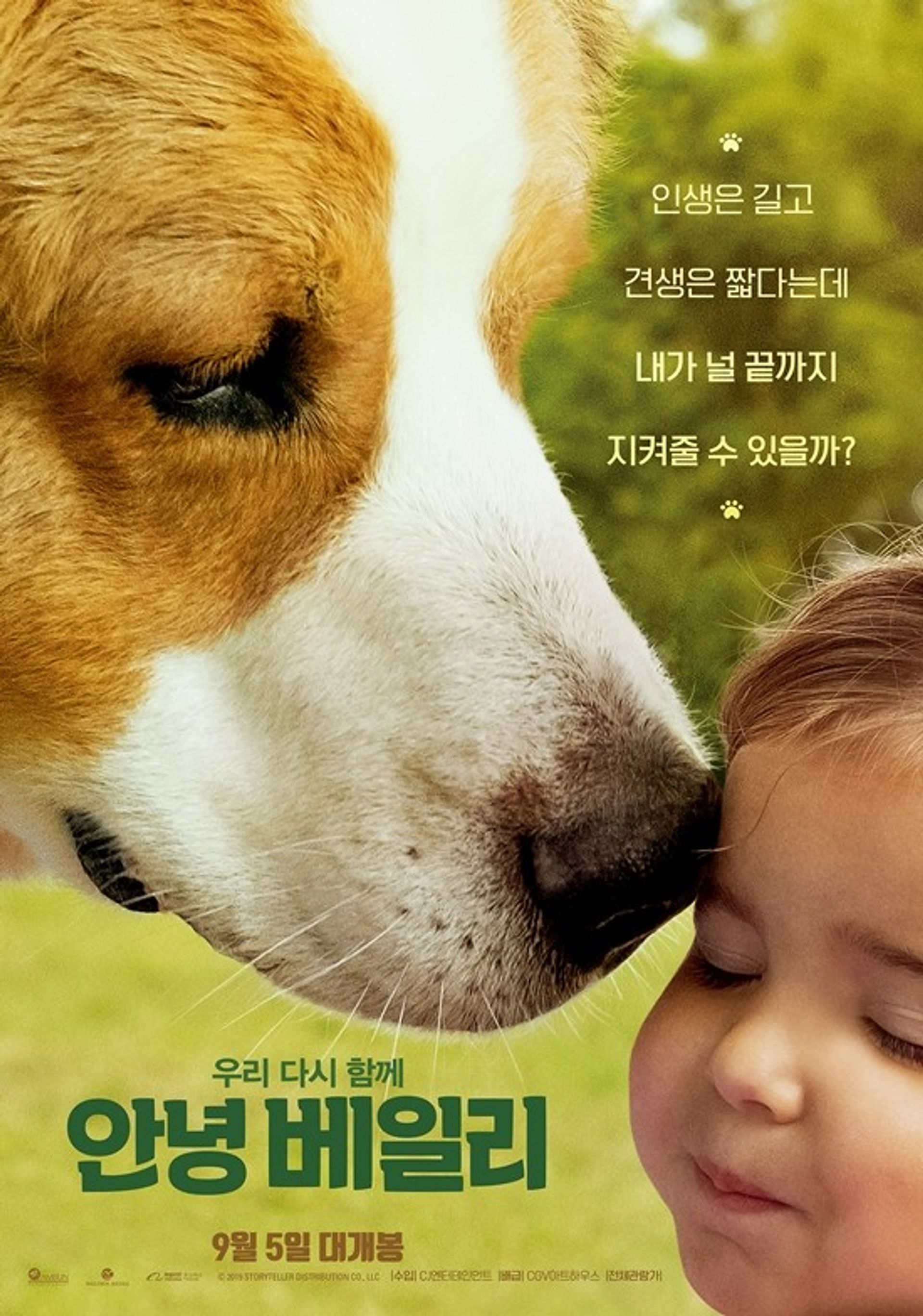 안녕 베일리