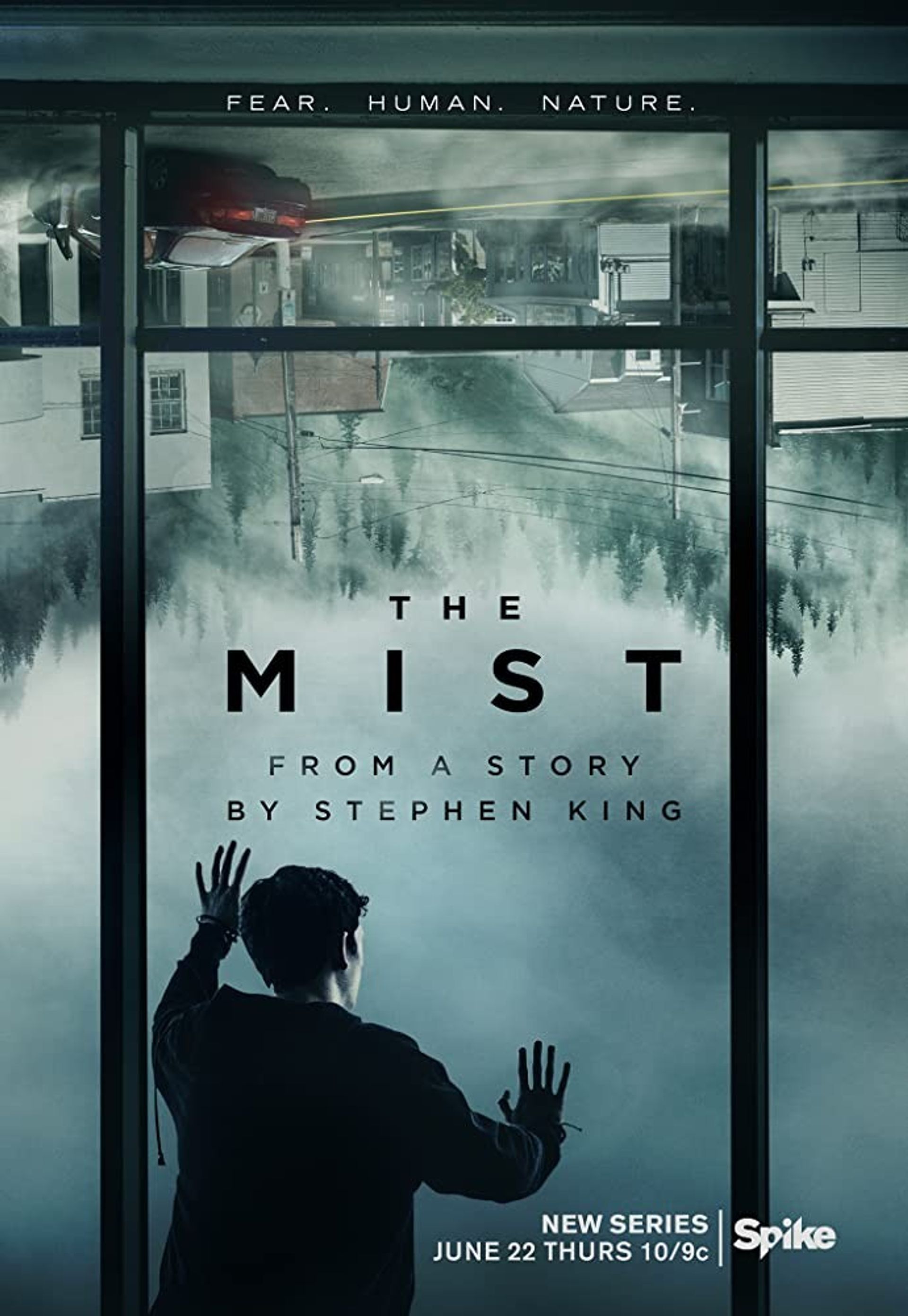 미스트