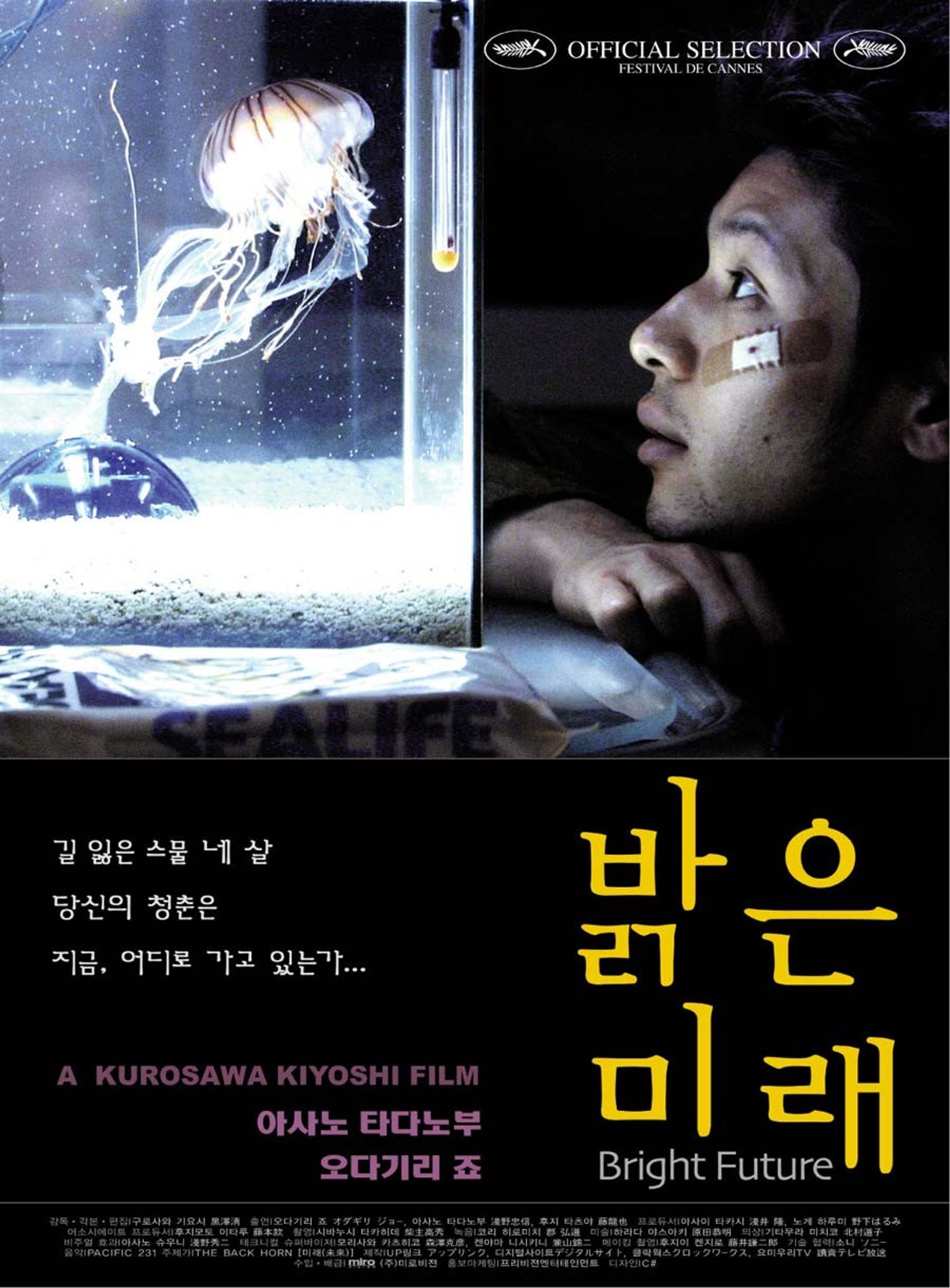 밝은 미래