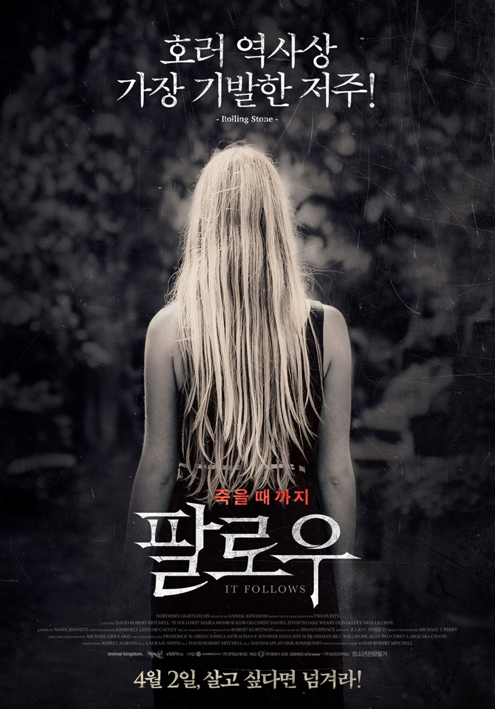 팔로우