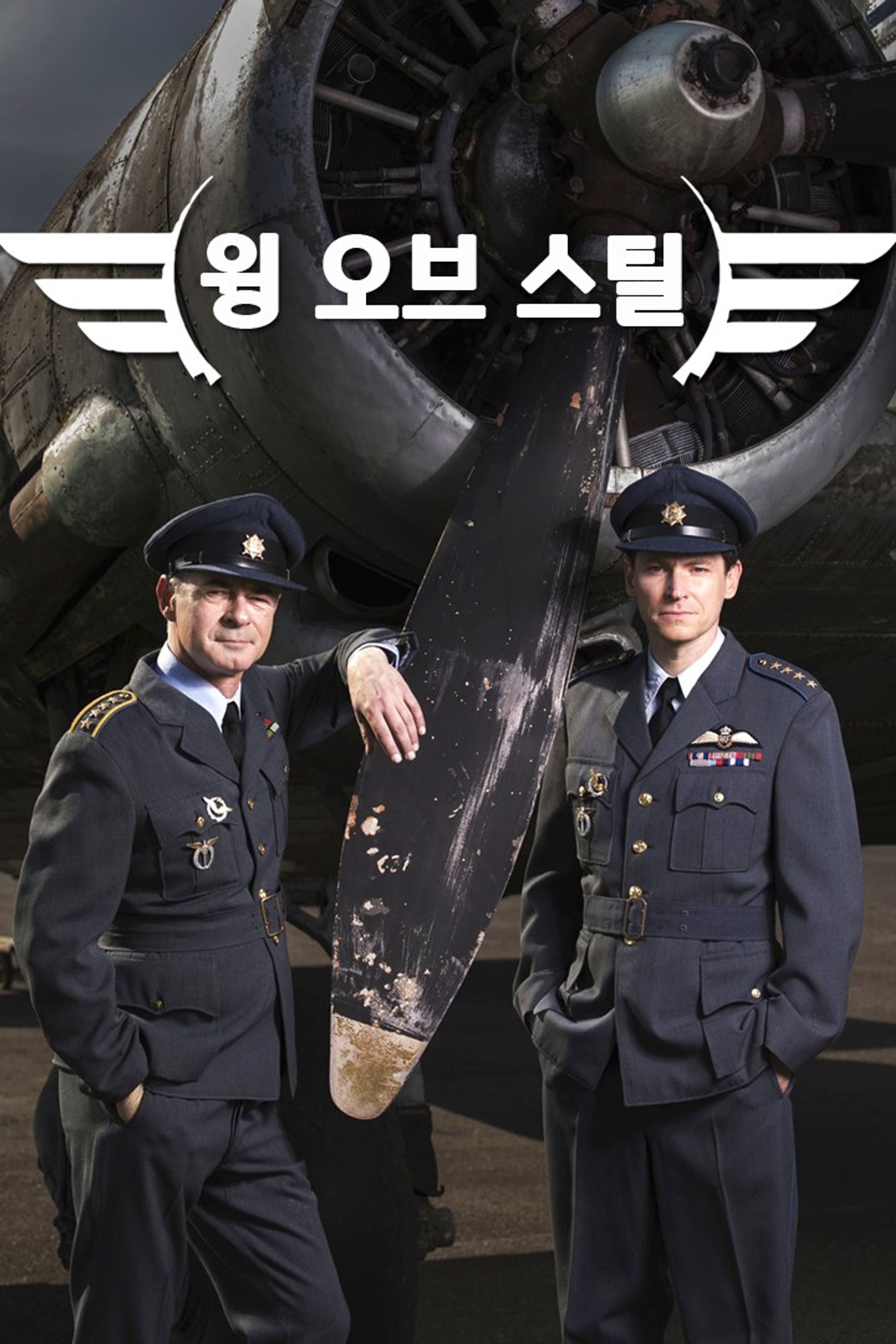 윙 오브 스틸