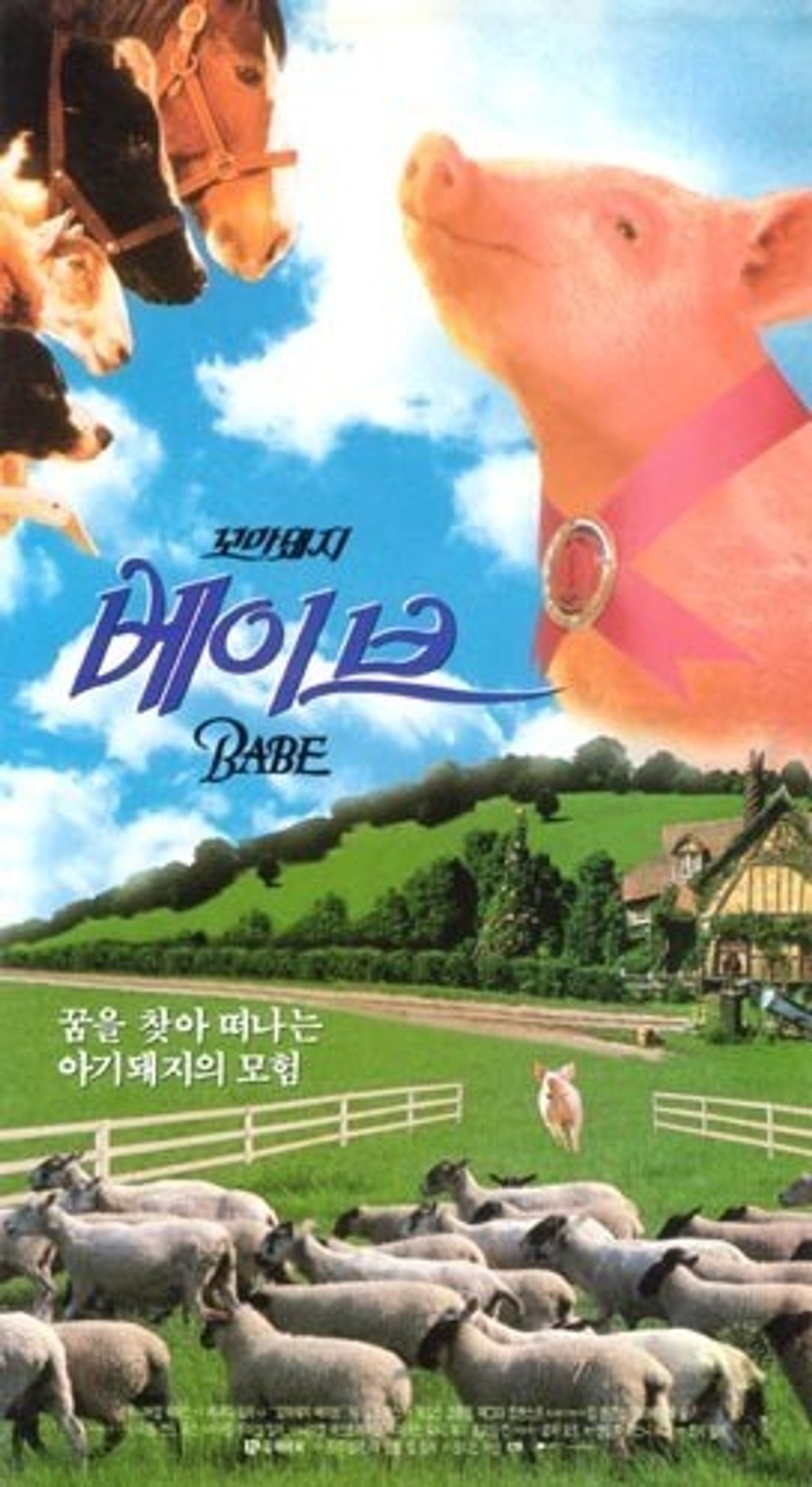 꼬마 돼지 베이브