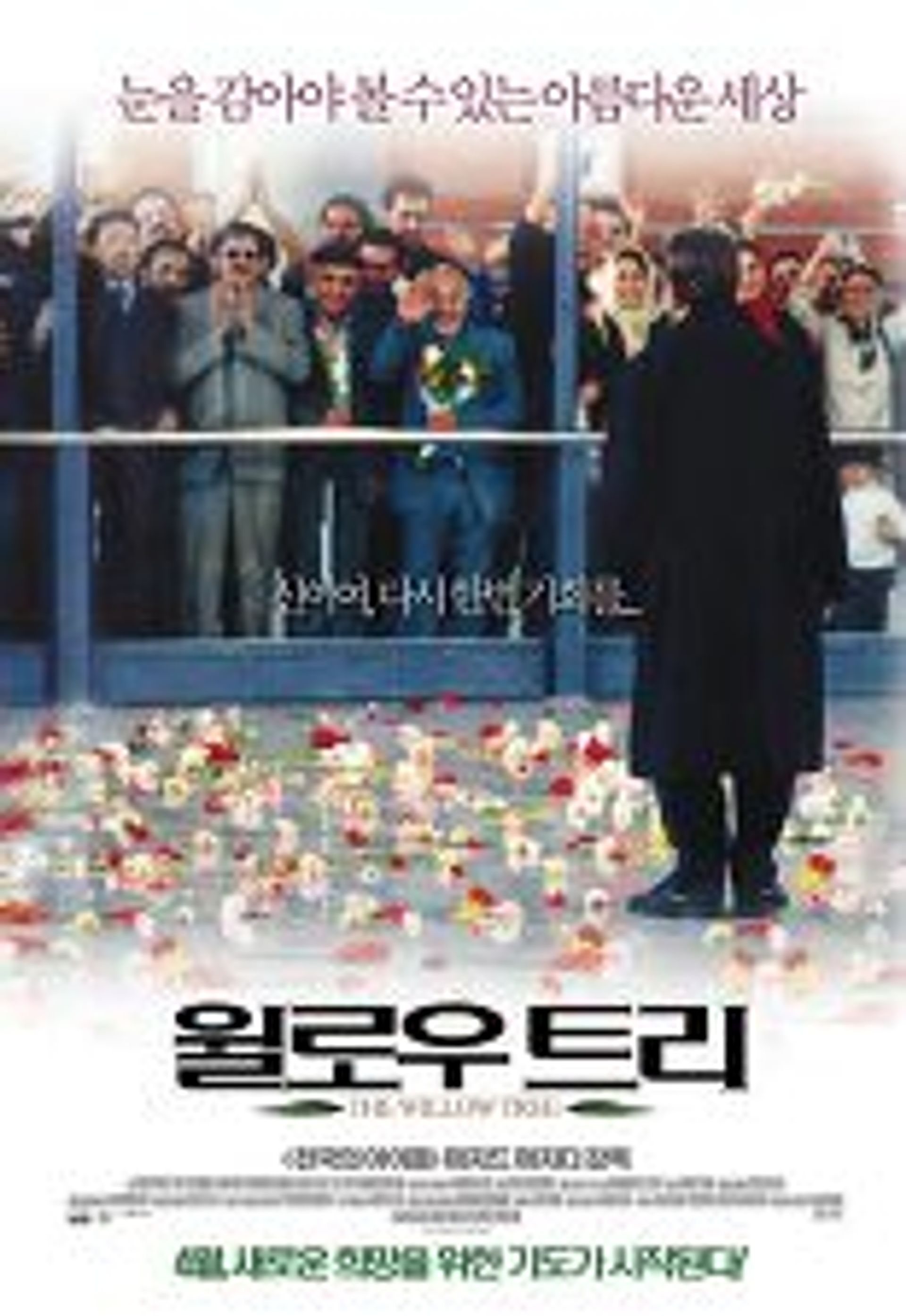 윌로우 트리