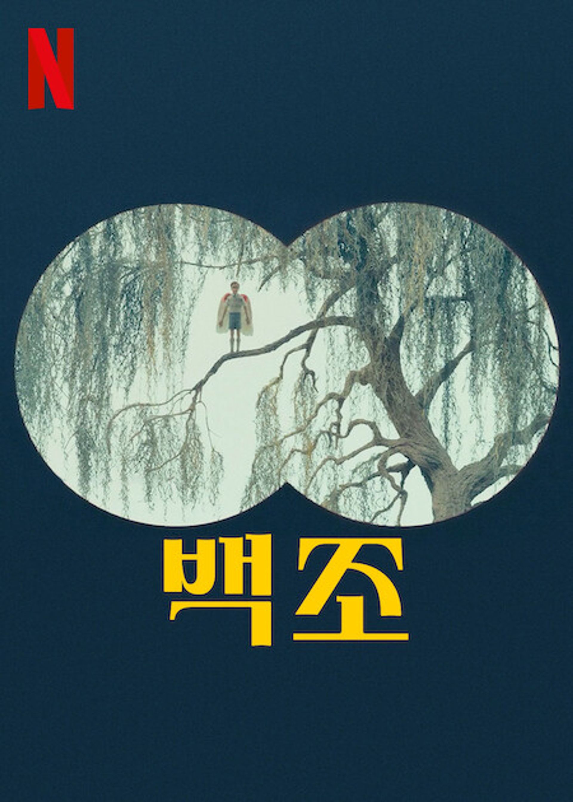 백조