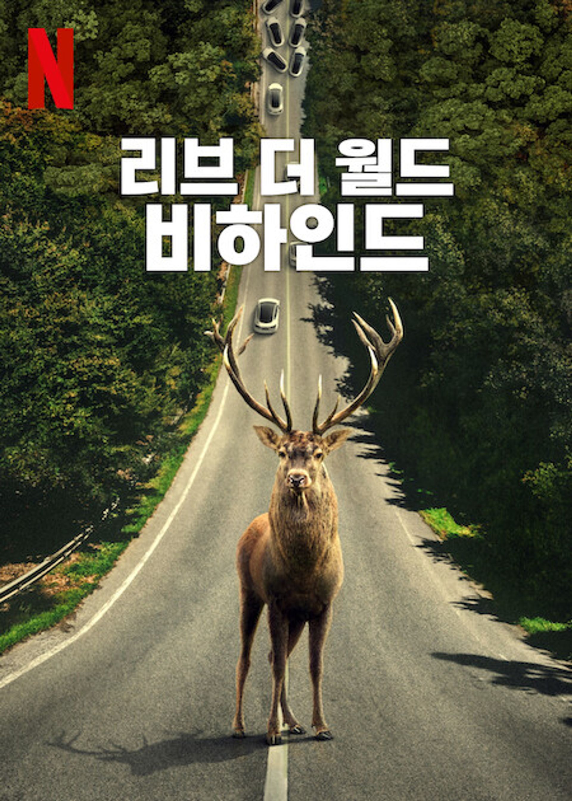 리브 더 월드 비하인드