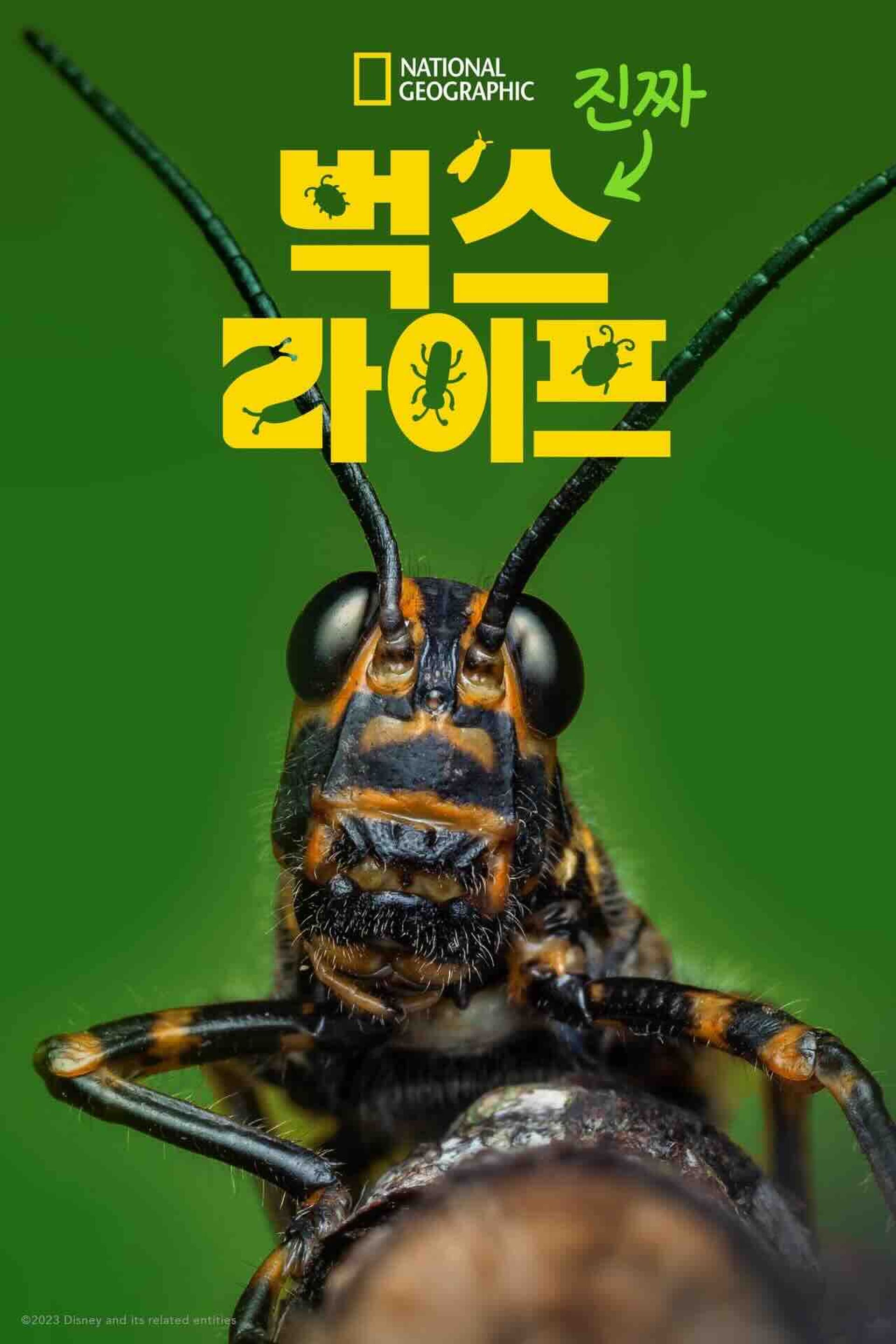 진짜 벅스 라이프 시즌 2