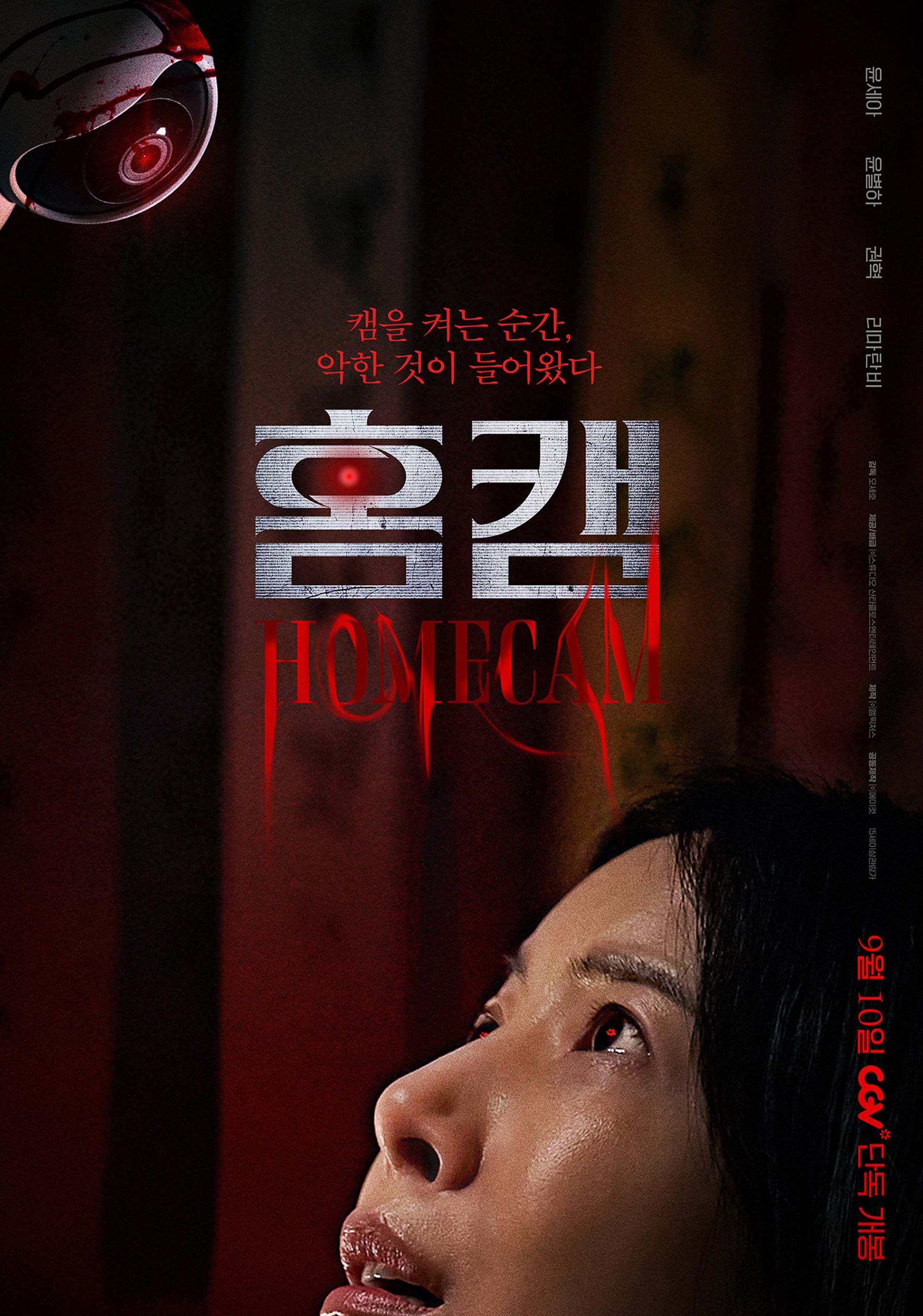 홈캠