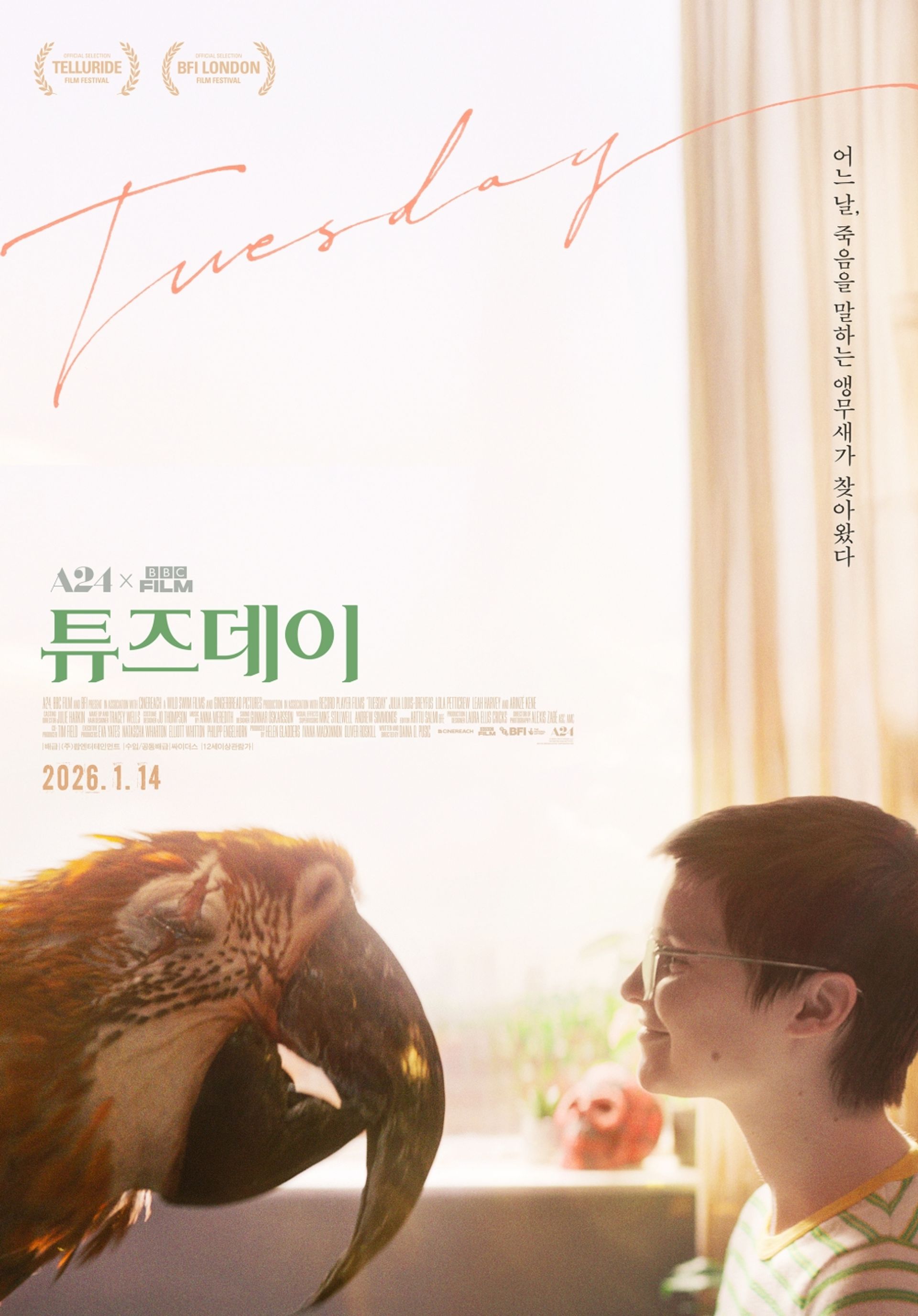 튜즈데이