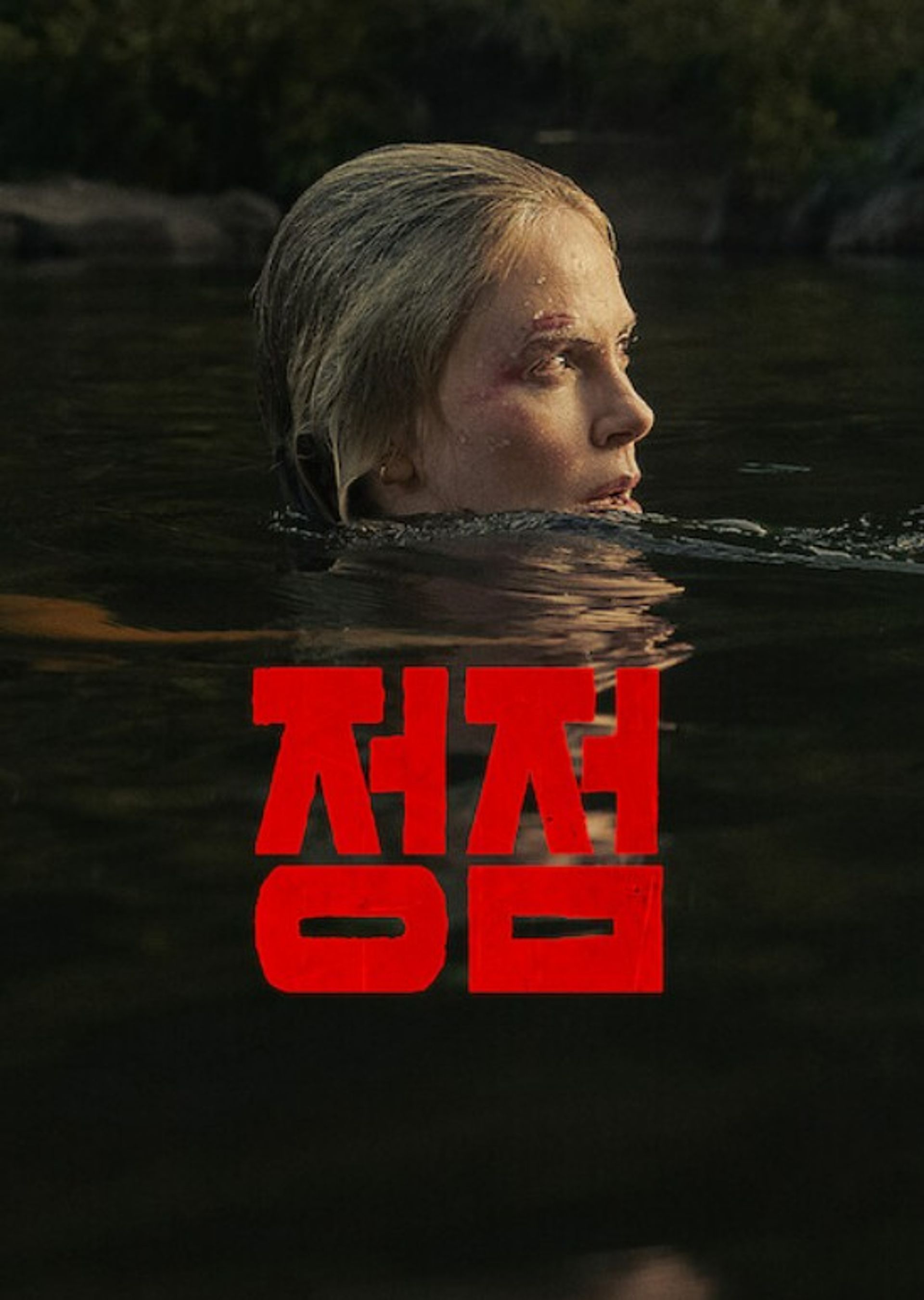 정점