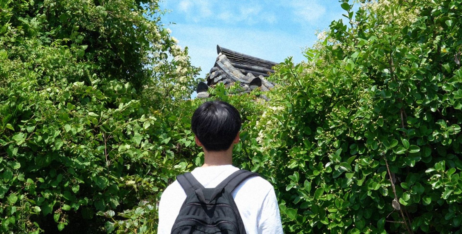 어제의 바람