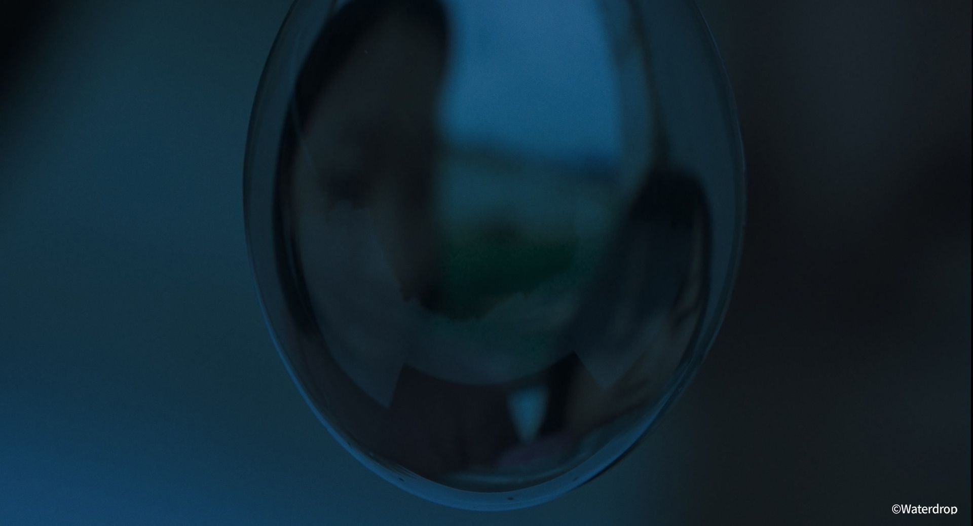 수연의 선율