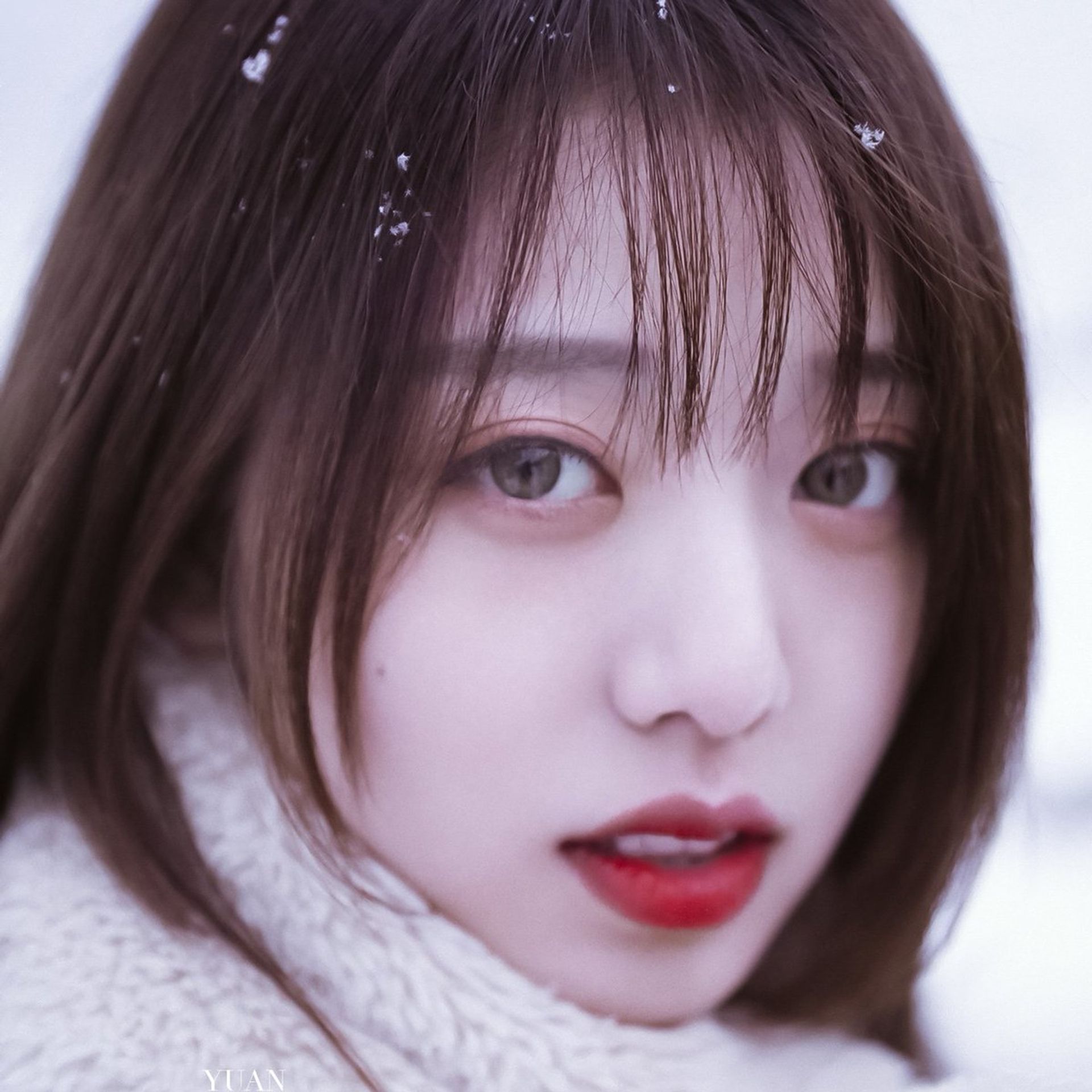 유인어