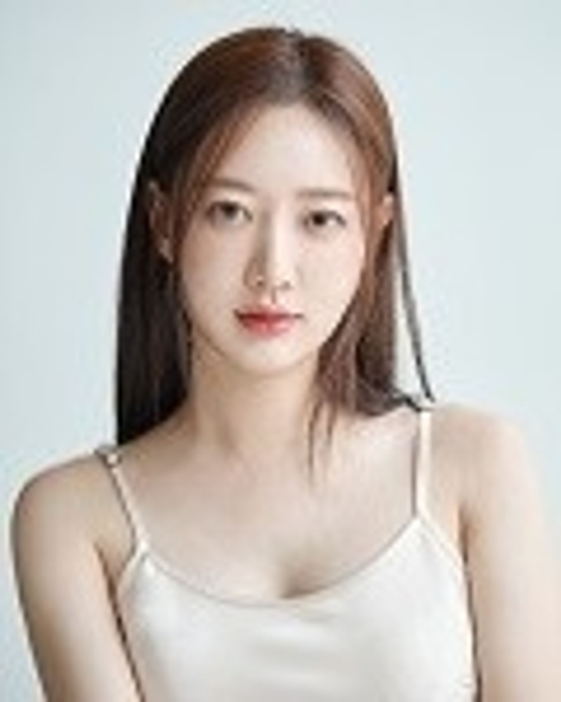 전다솔