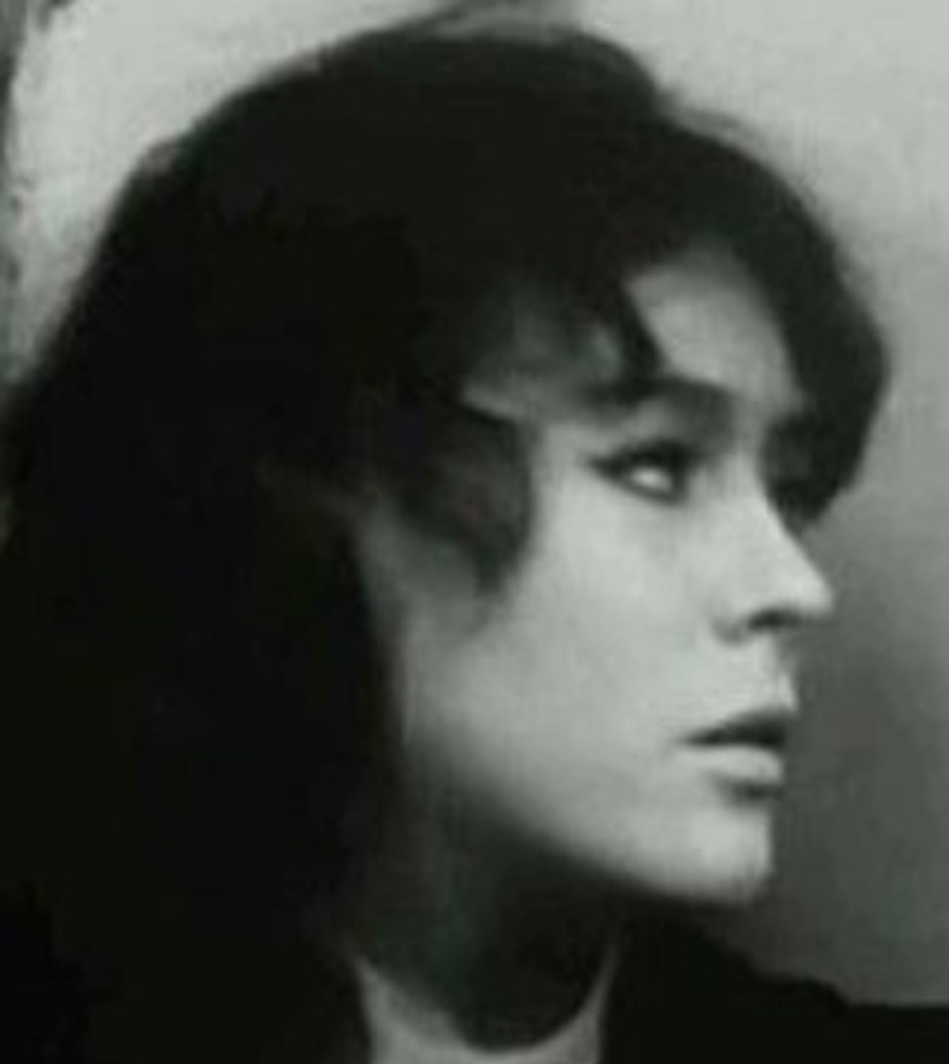 앤 자미르