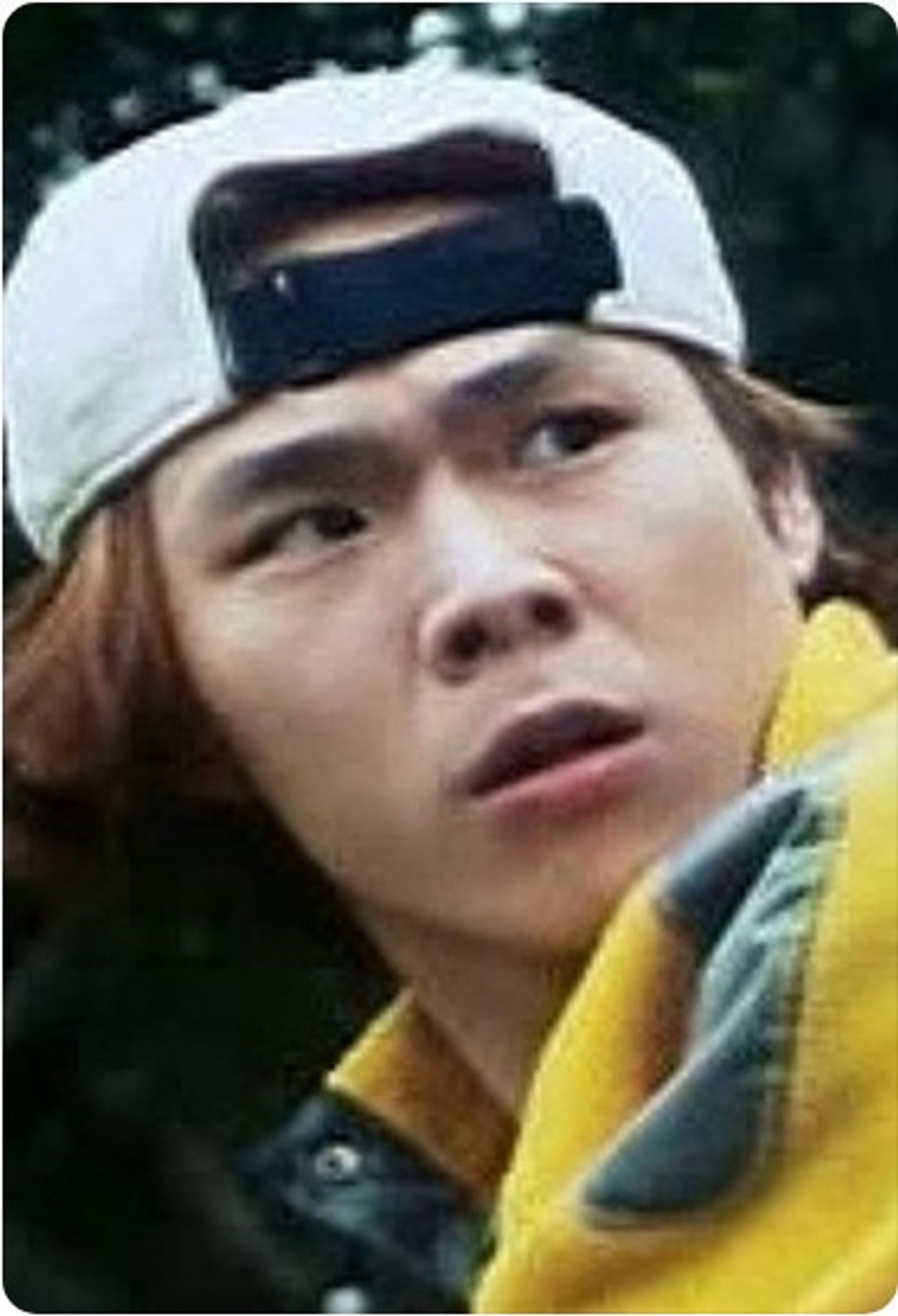 좌효호