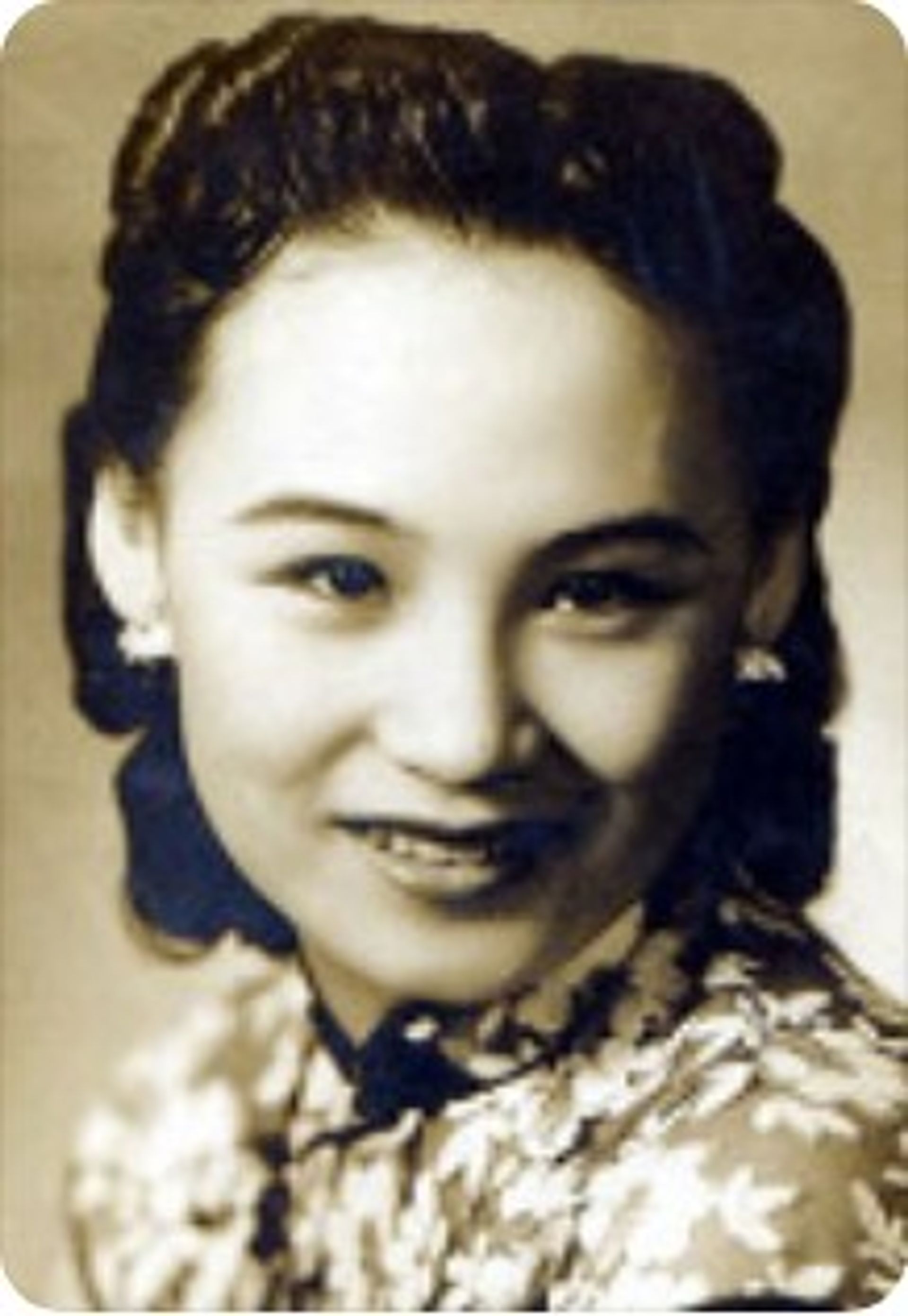 진연연
