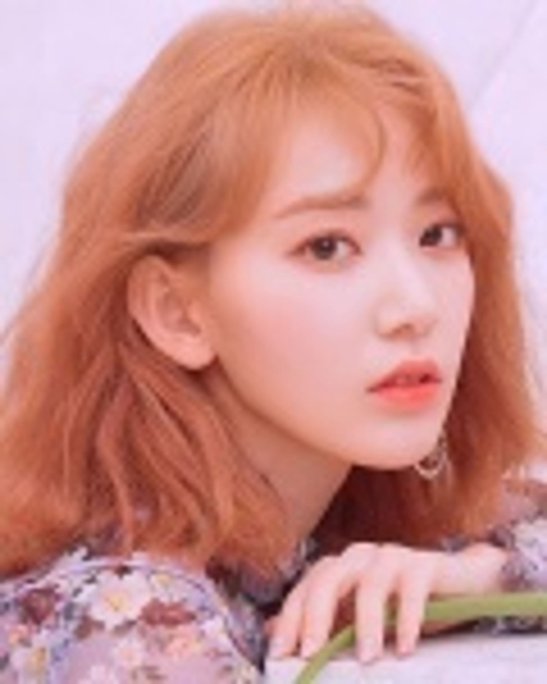 미야와키 사쿠라