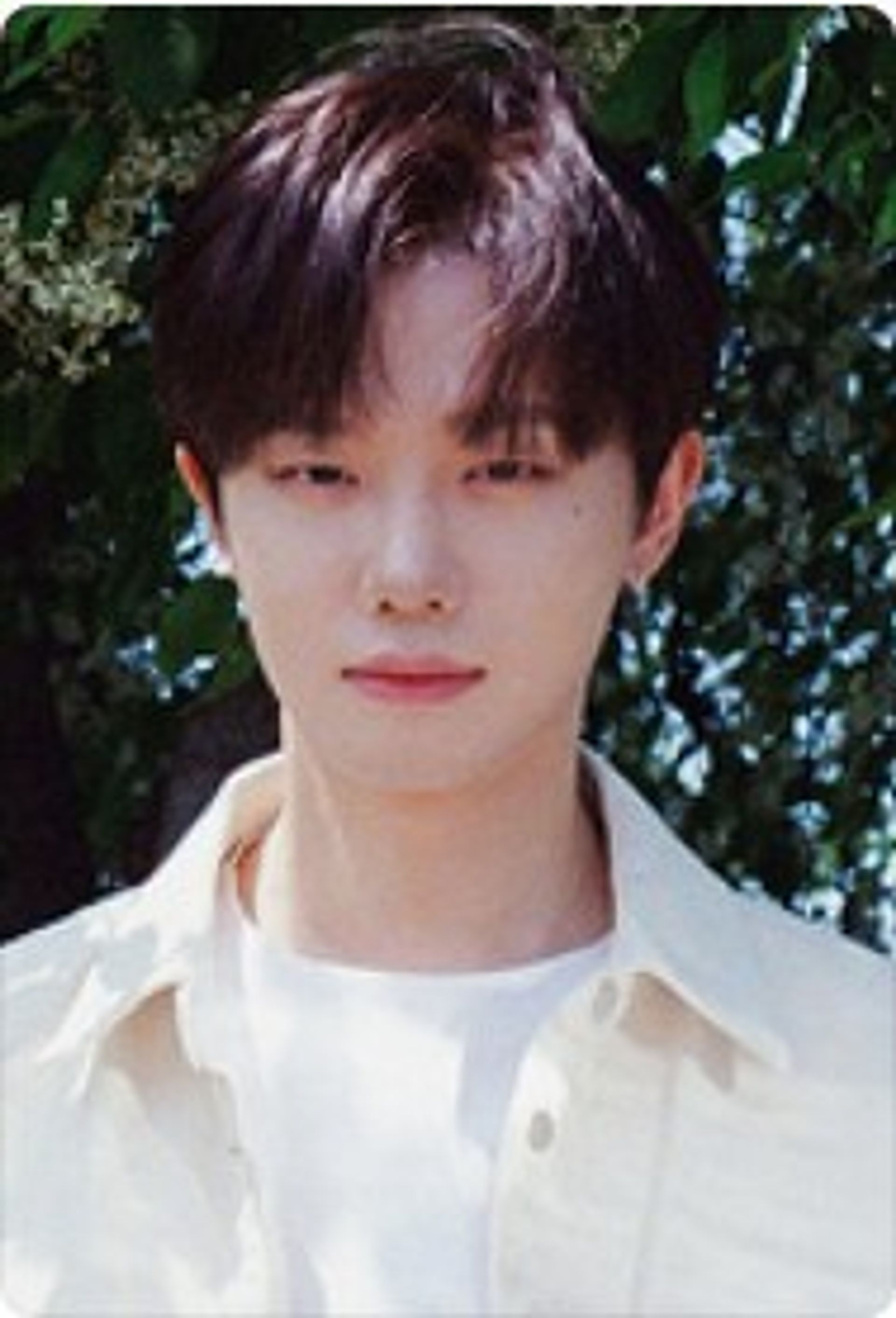 하현상