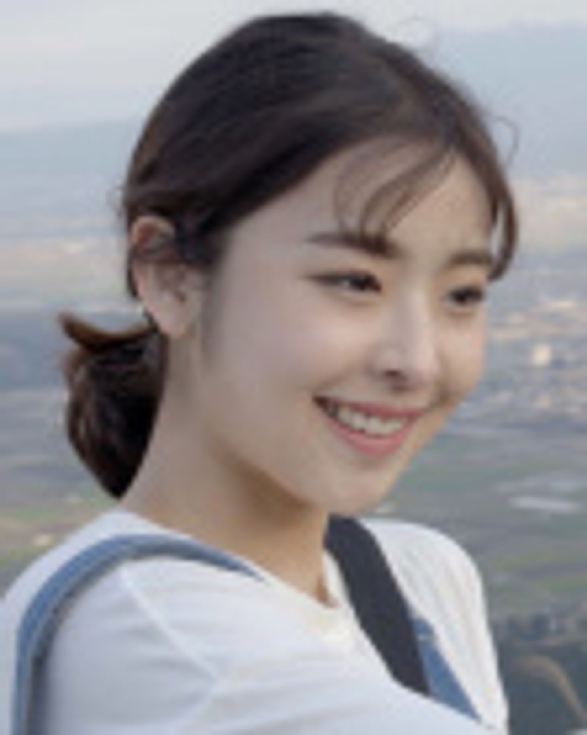 한이수