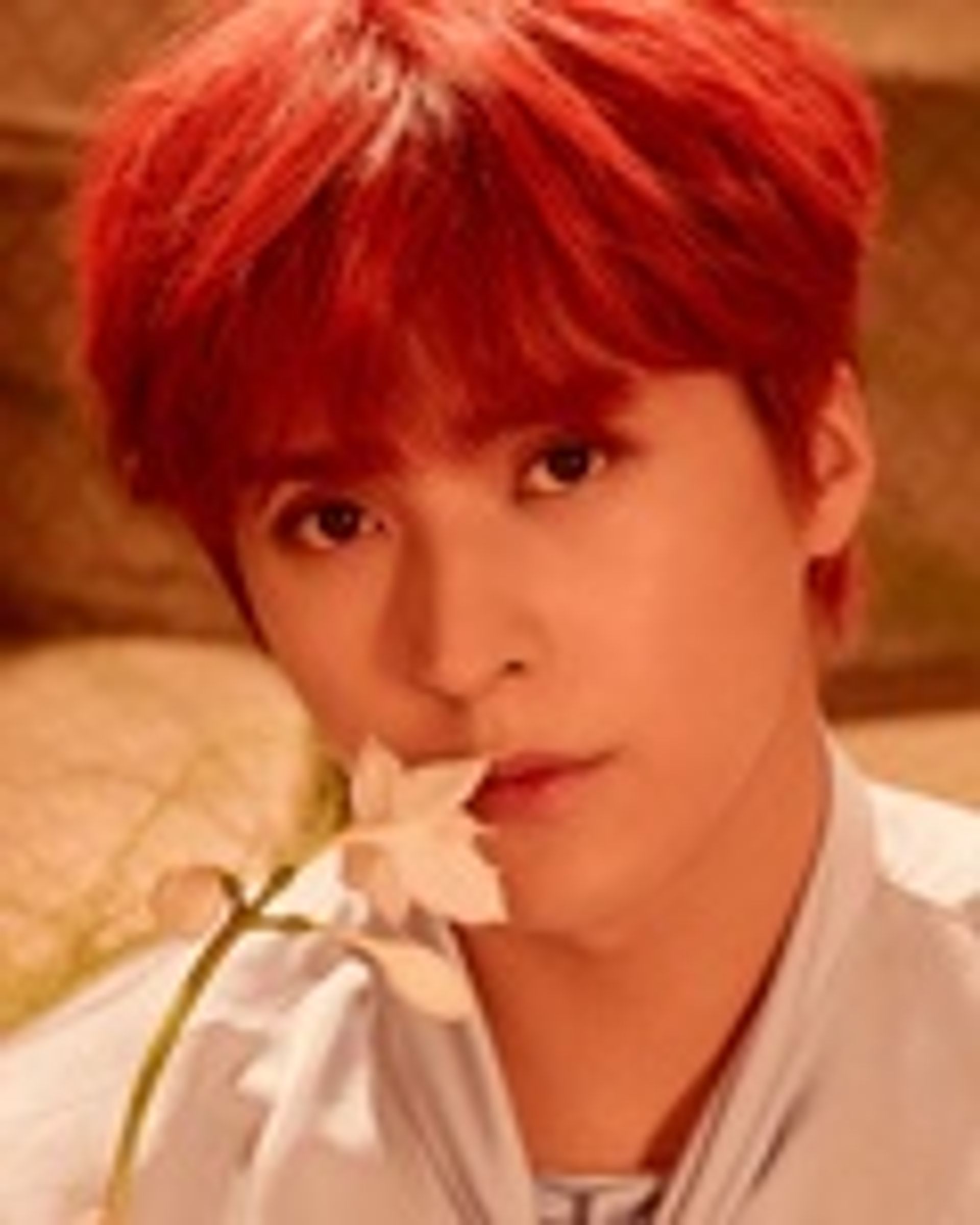 손동운
