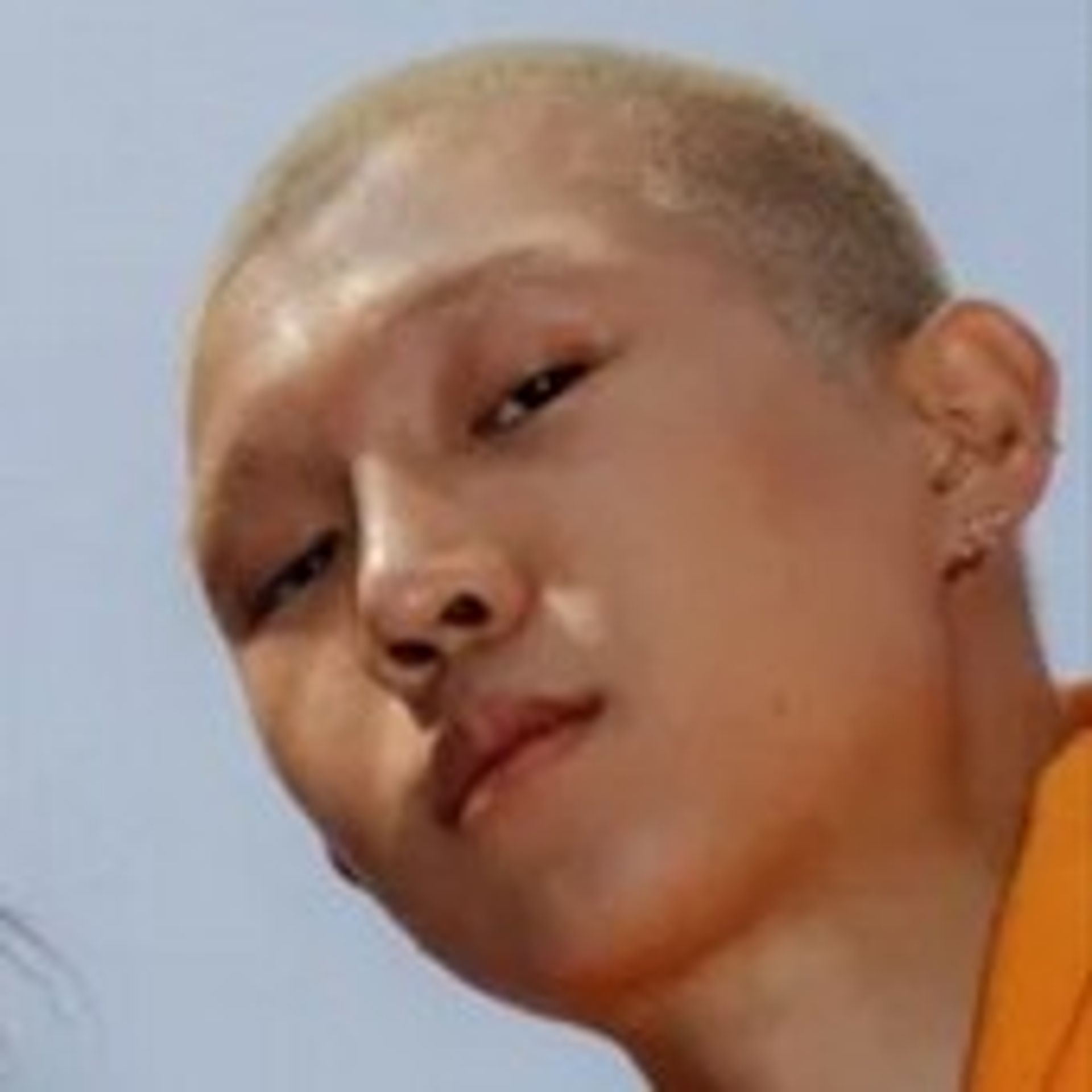 제이보