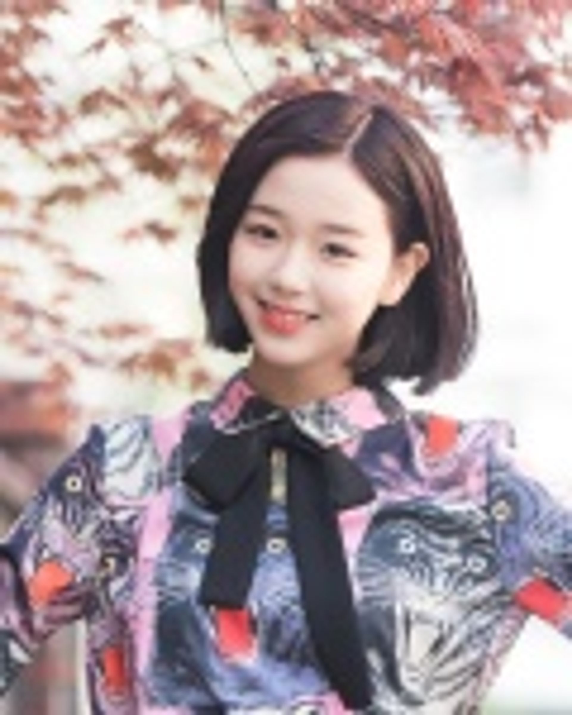 김채연