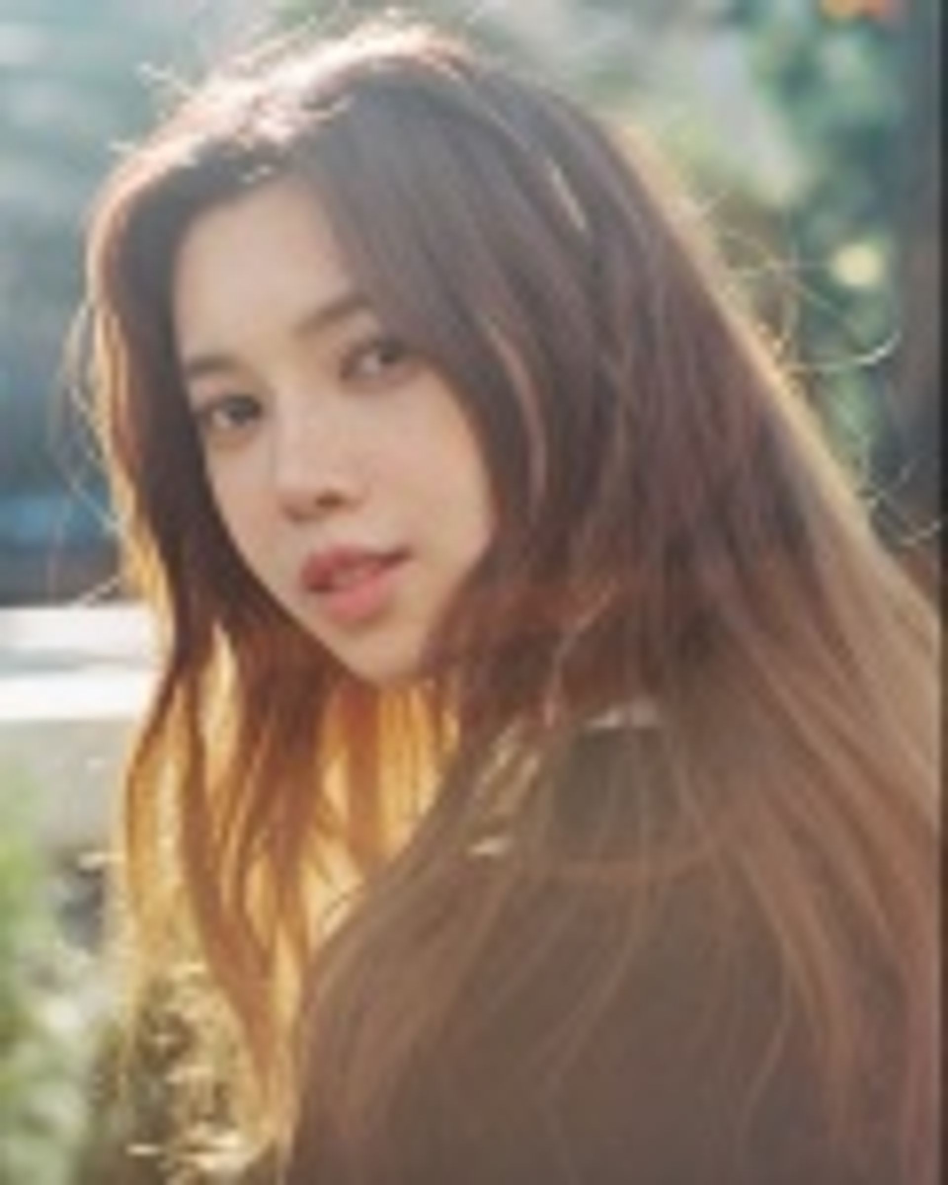 배다해