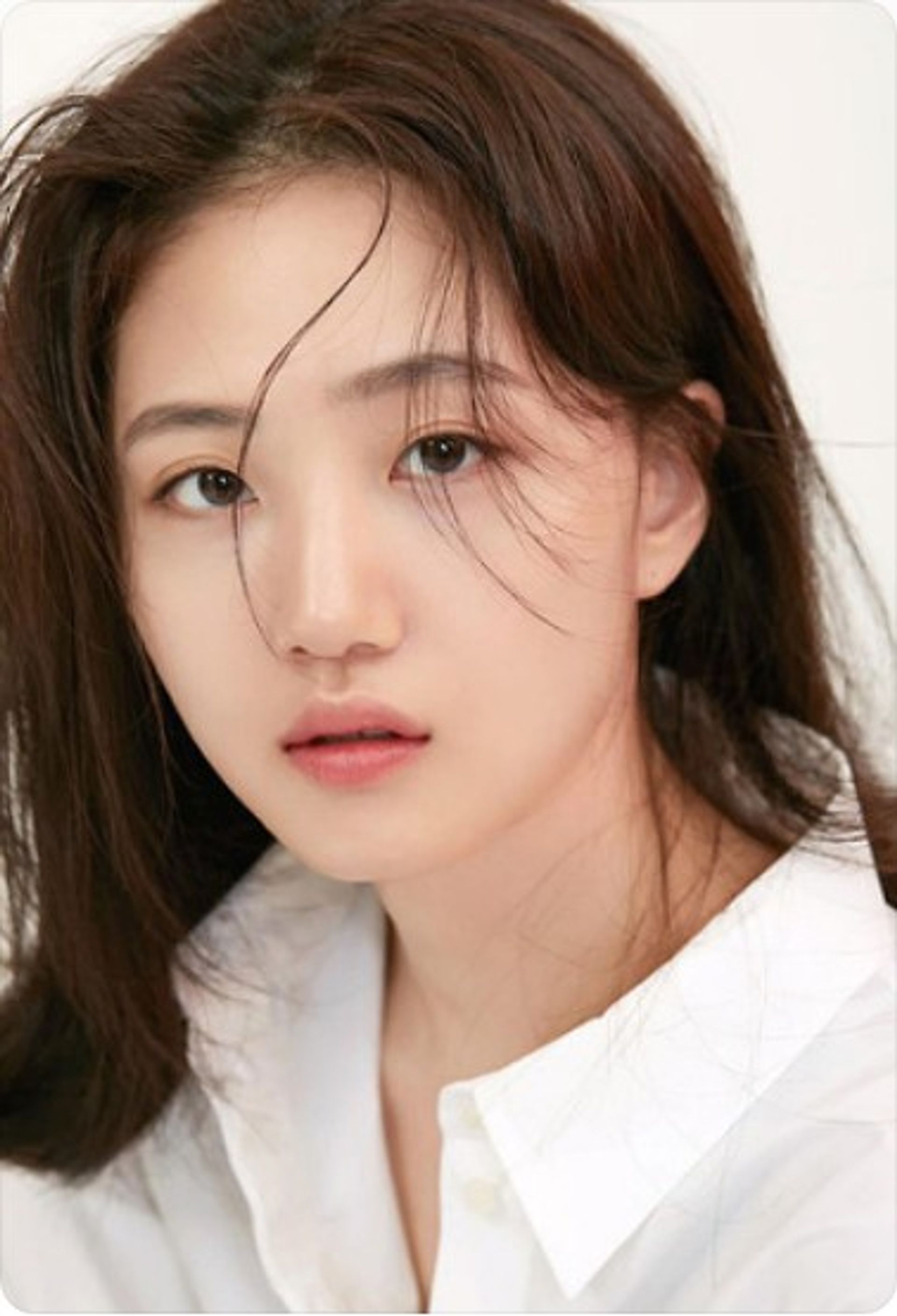정하진