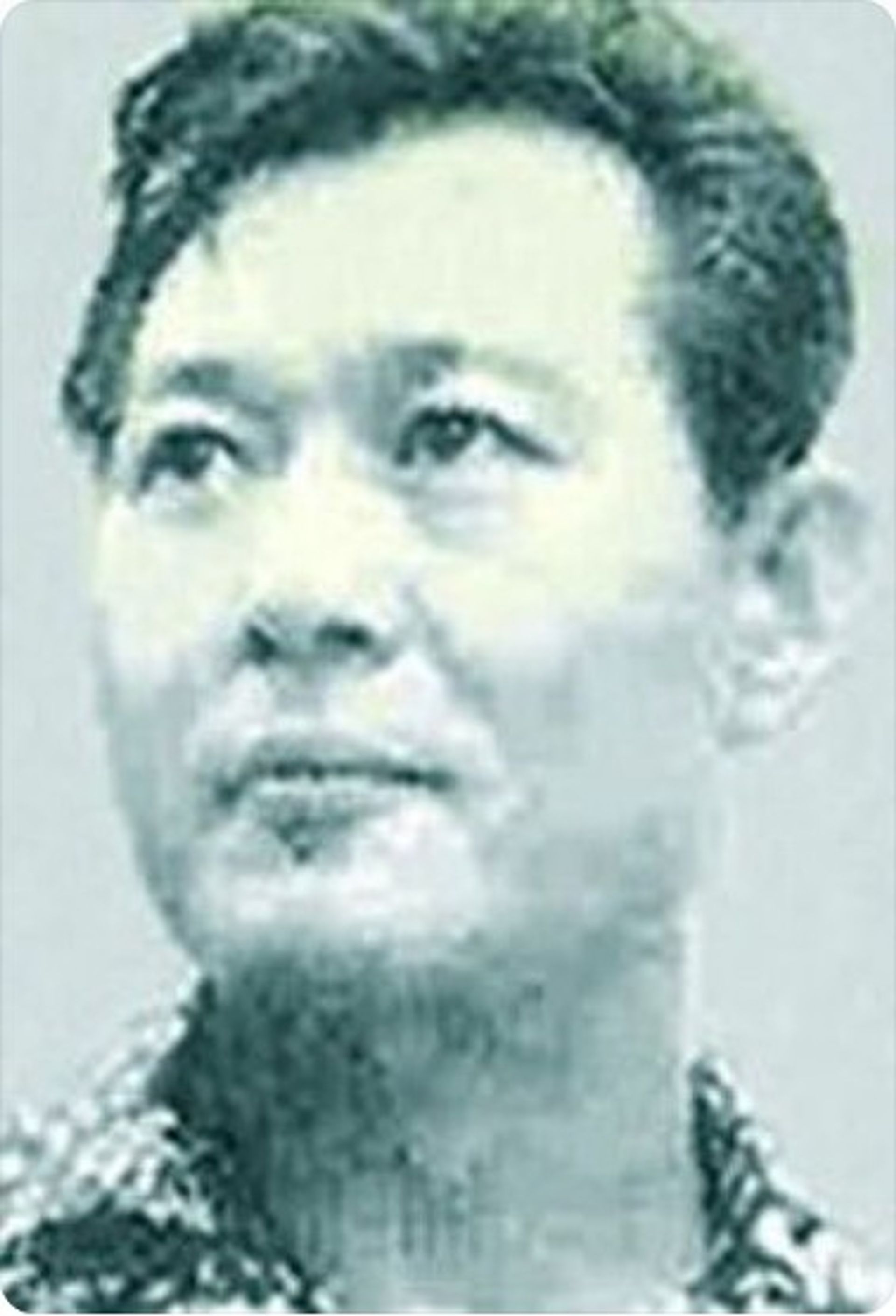 노능걸
