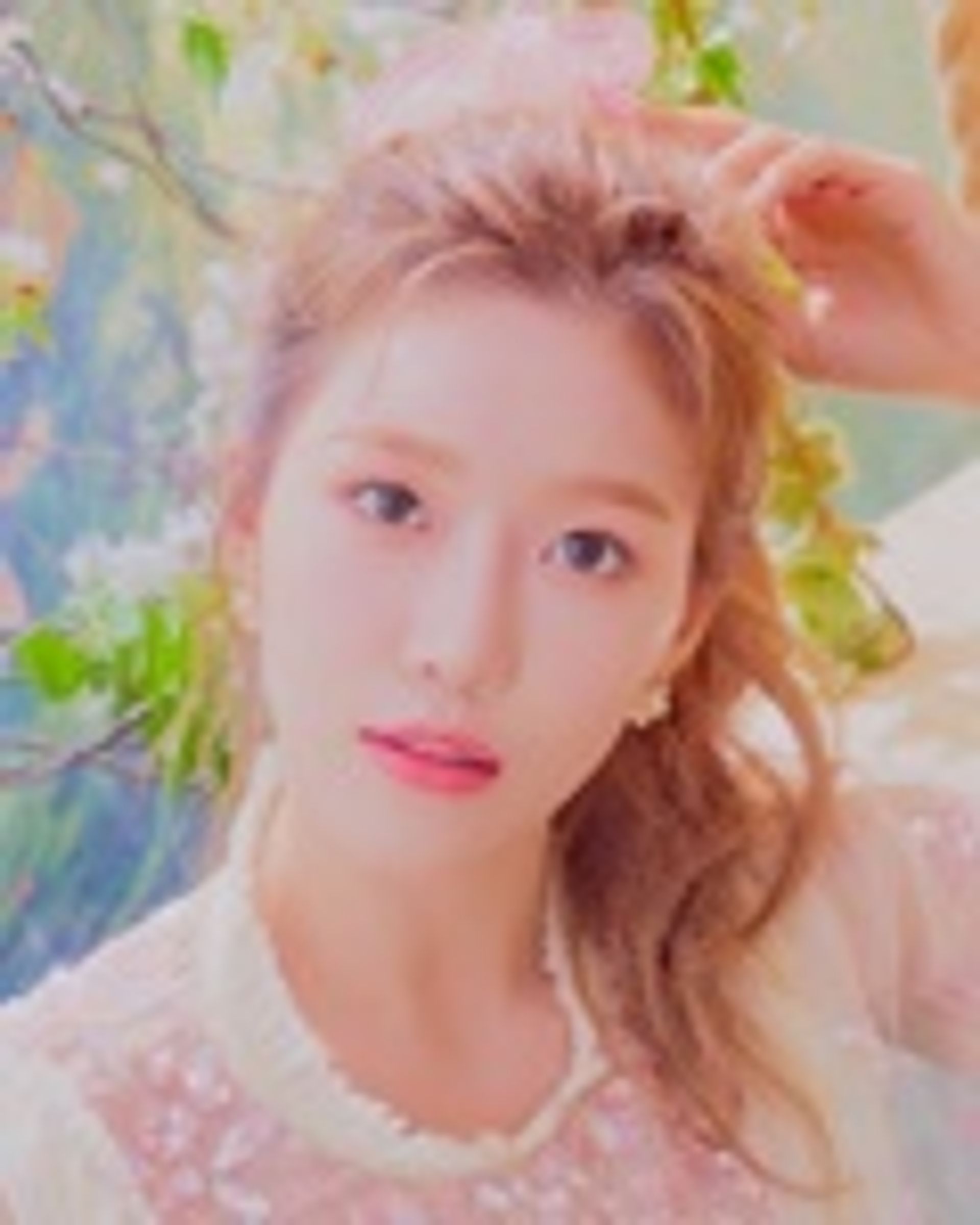 다원