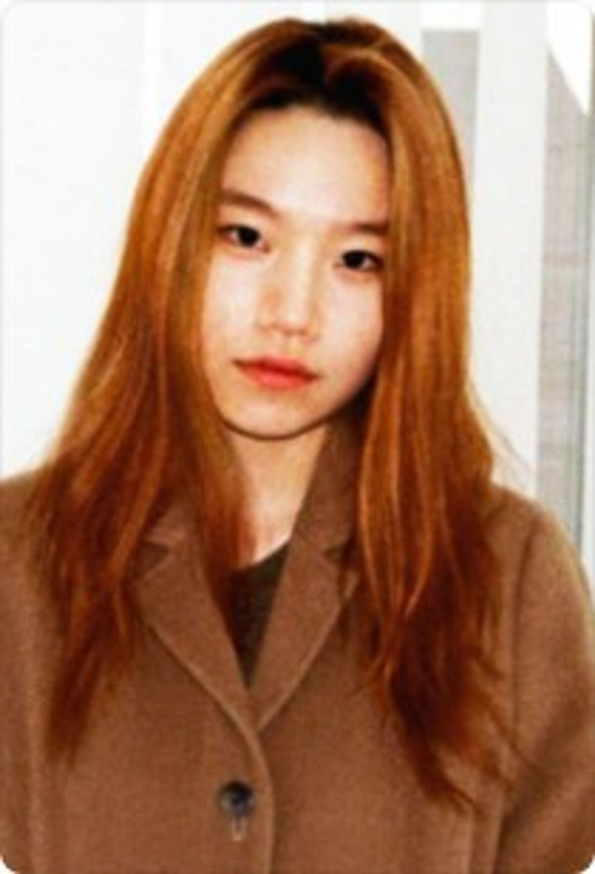 이솜이