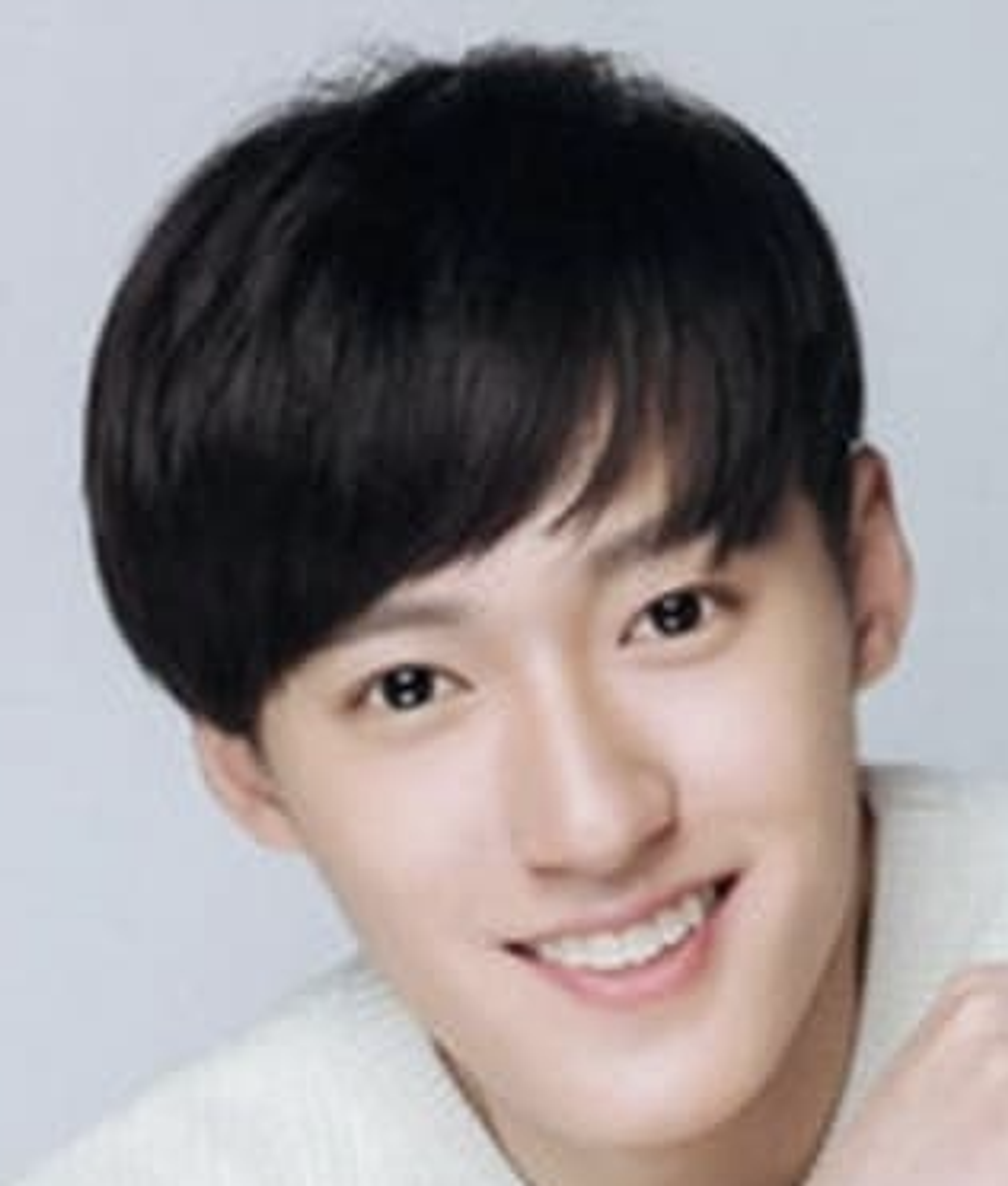 장하오진