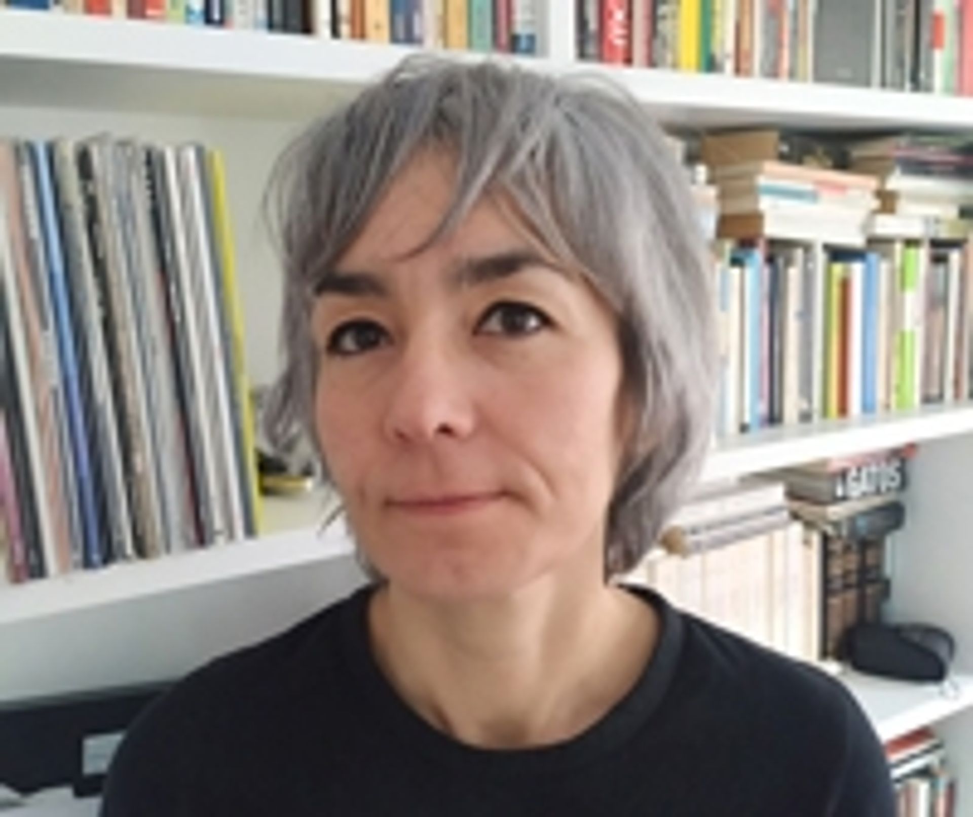 베고냐 아로스테기