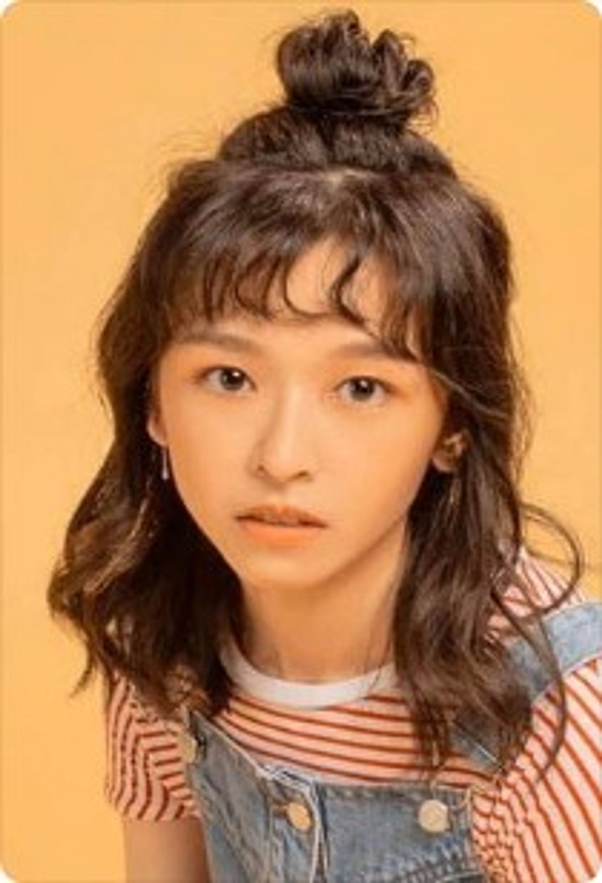 진연비