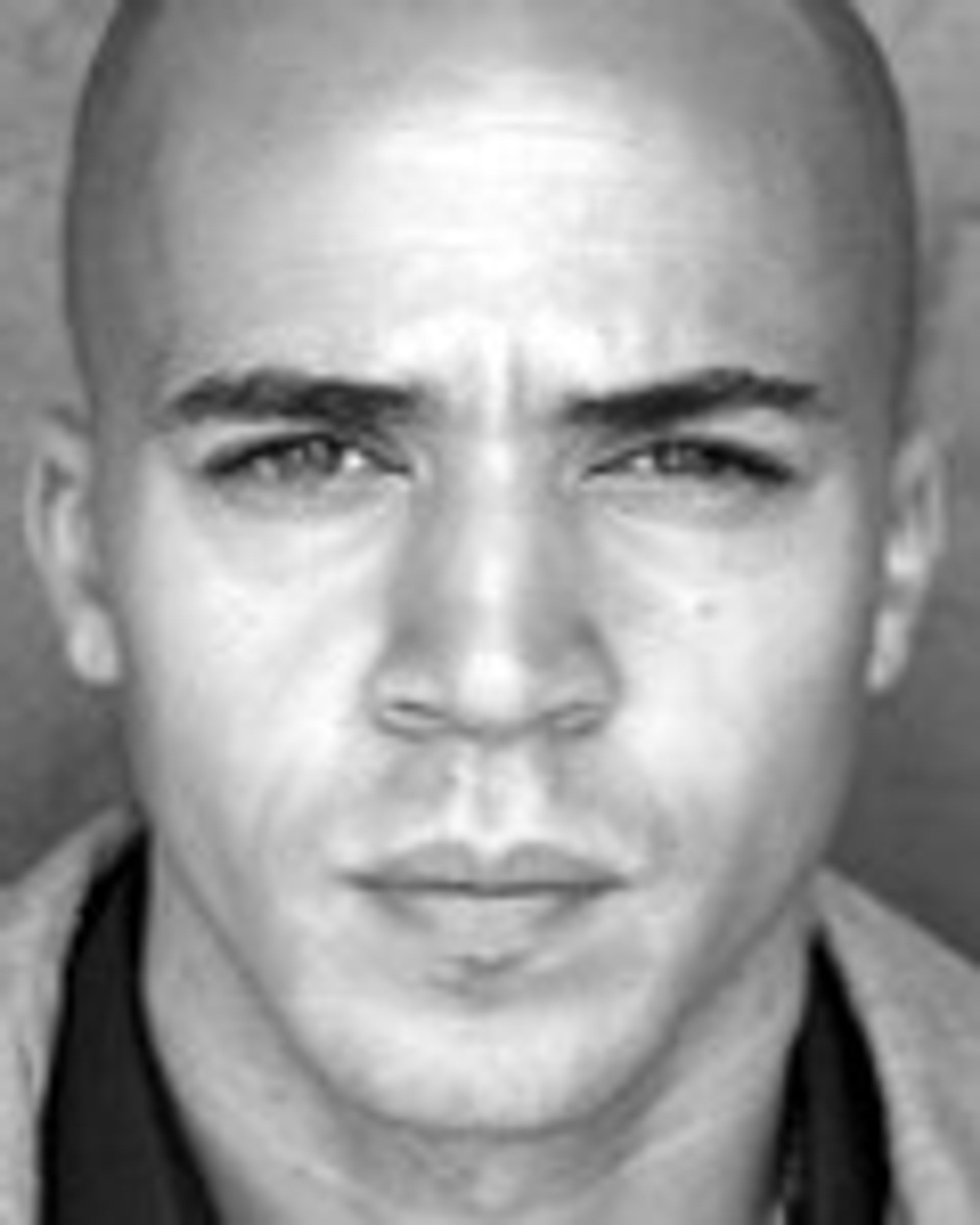 데이빗 헤일리