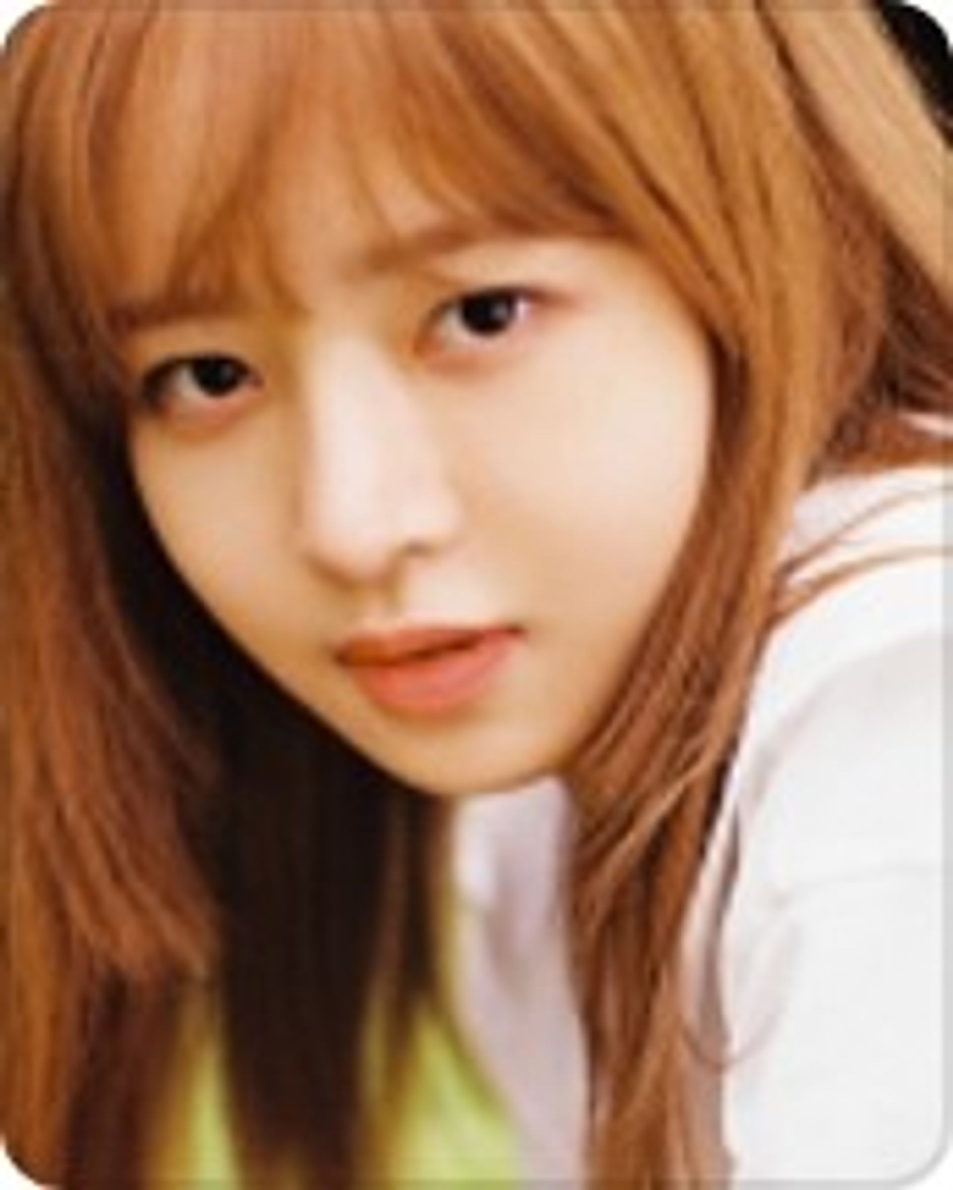 레이