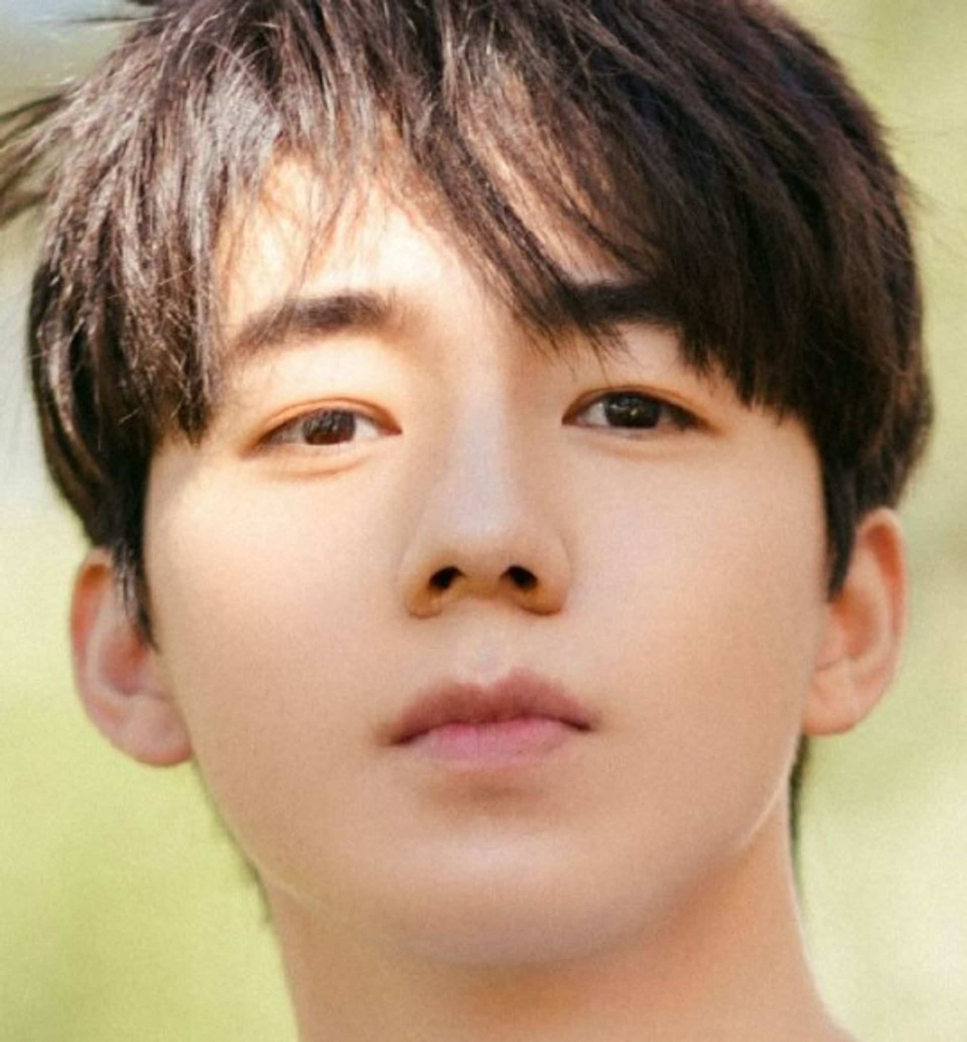 조우 지 한